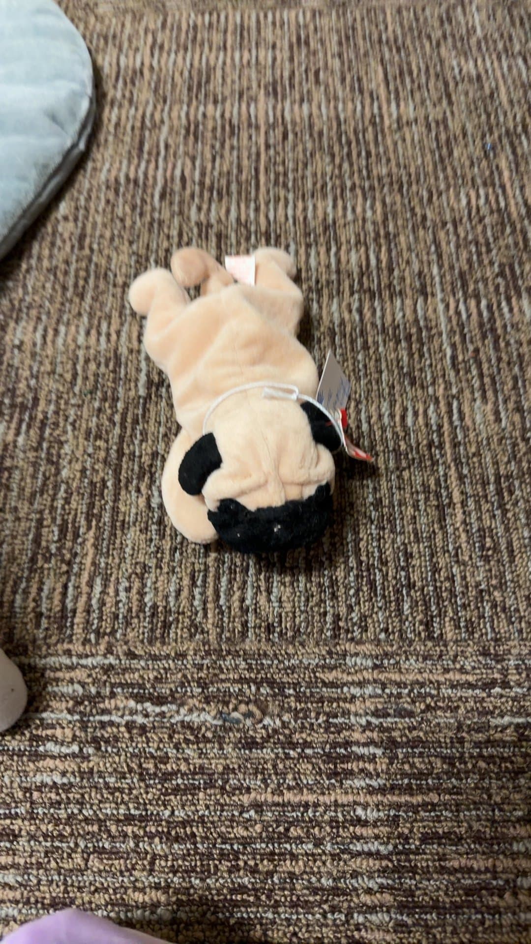 Ty Beanie Baby Pug Plush Toy