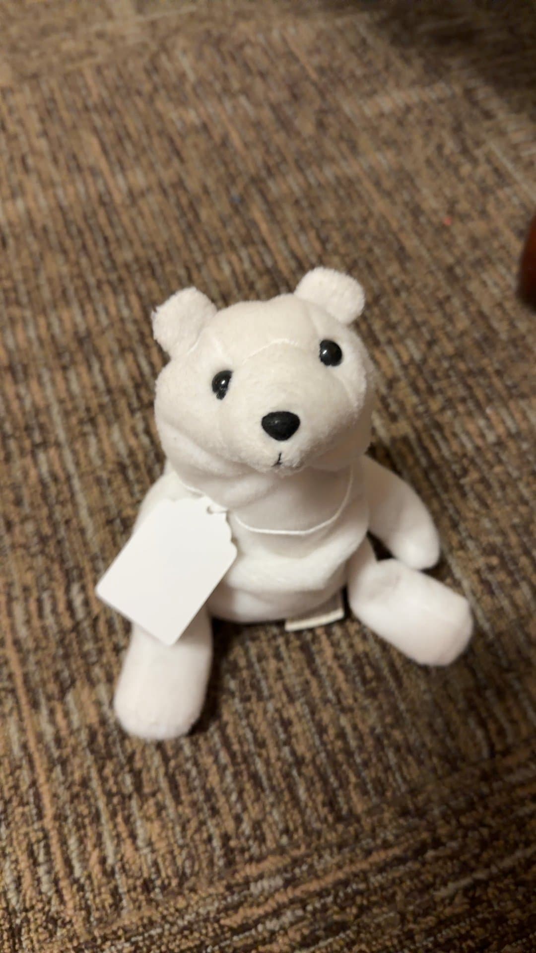 White Plush Bear Toy