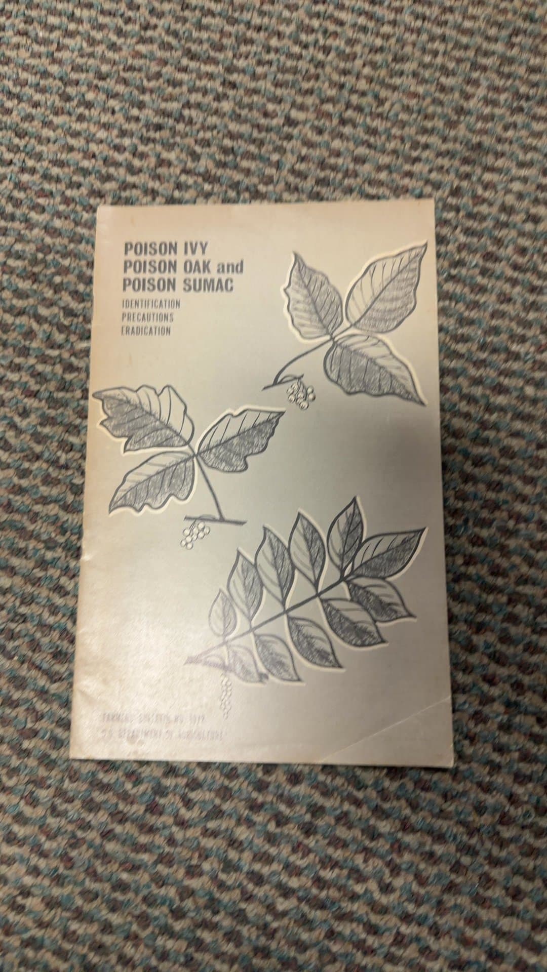USDA Farmers' Bulletin No. 1972: Poison Ivy, Poison Oak and Poison Sumac (1967) - Image 1