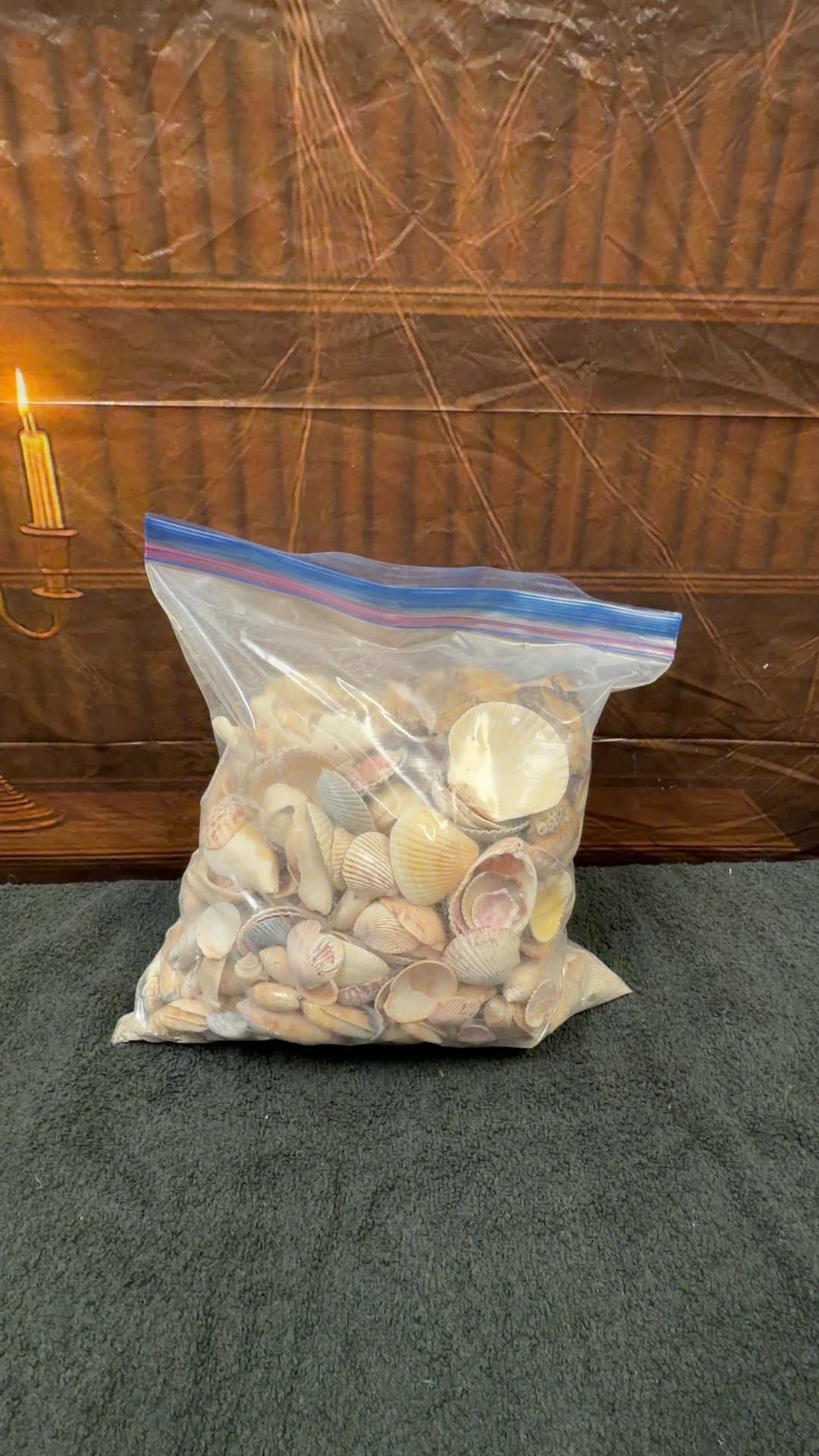 Assorted Natural Seashells Craft Lot - Image 1