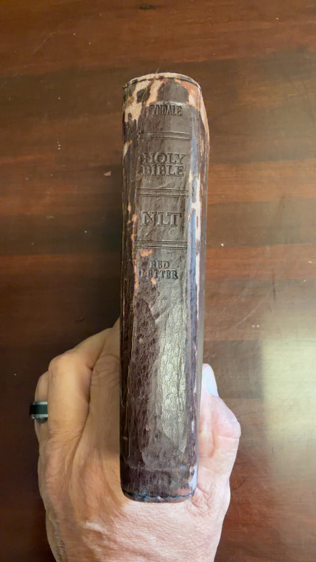 Tyndale Holy Bible NLT Compact Edition - Image 1