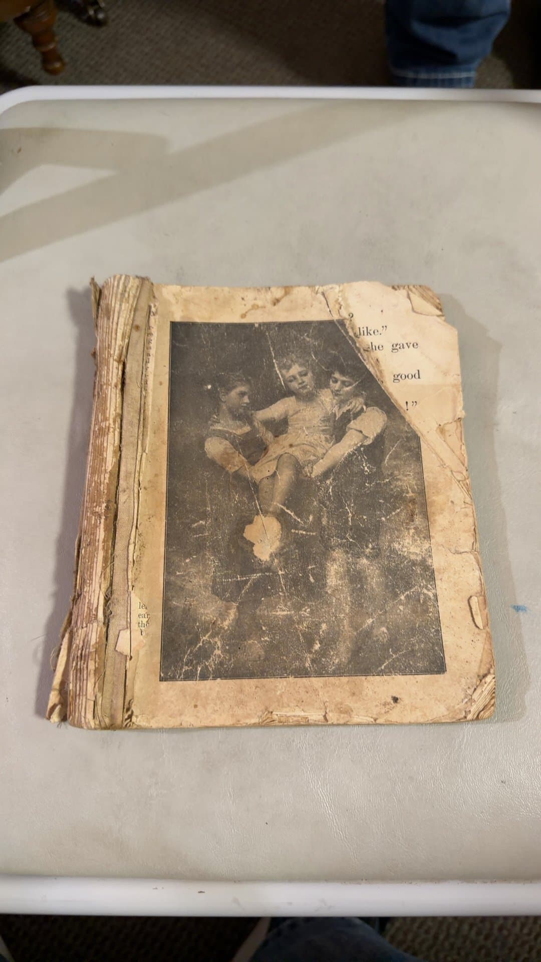 Antique Book with Vintage Photographs - Image 1