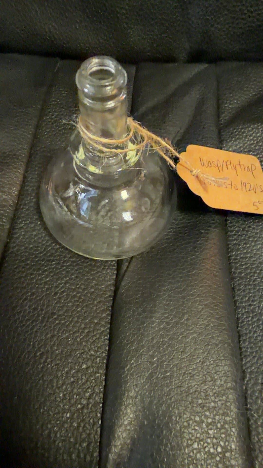 Antique Glass Wasp/Fly Trap - Image 1