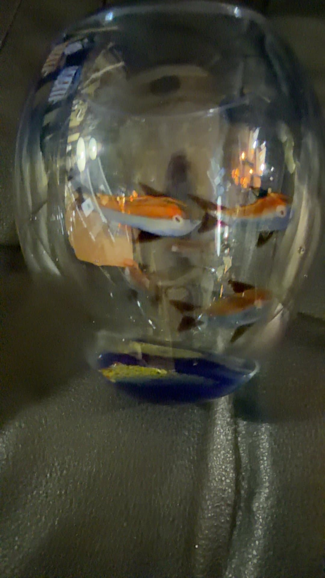 Murano Style Handblown Aquarium Vase - Image 1