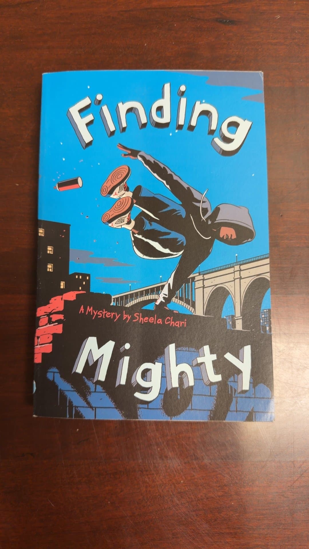 Finding Mighty by Sheela Chari - Image 1