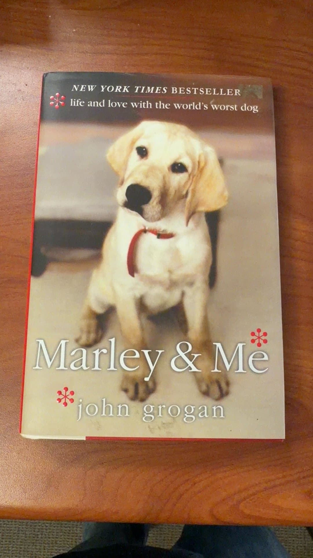 Marley & Me: Life and Love with the World's Worst Dog - Image 1
