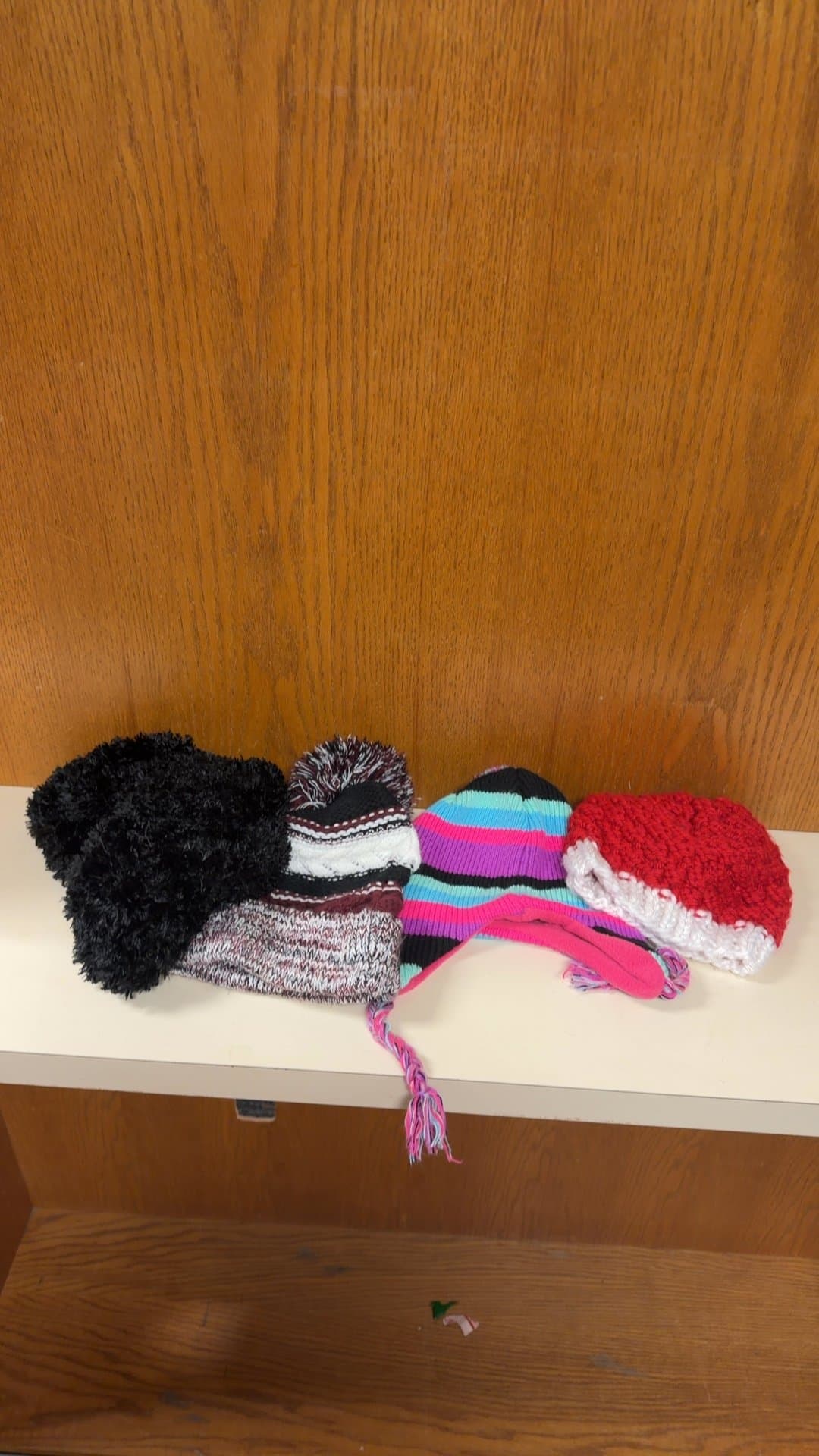 Assorted Winter Knit Beanies and Earflap Hats Lot - Image 1