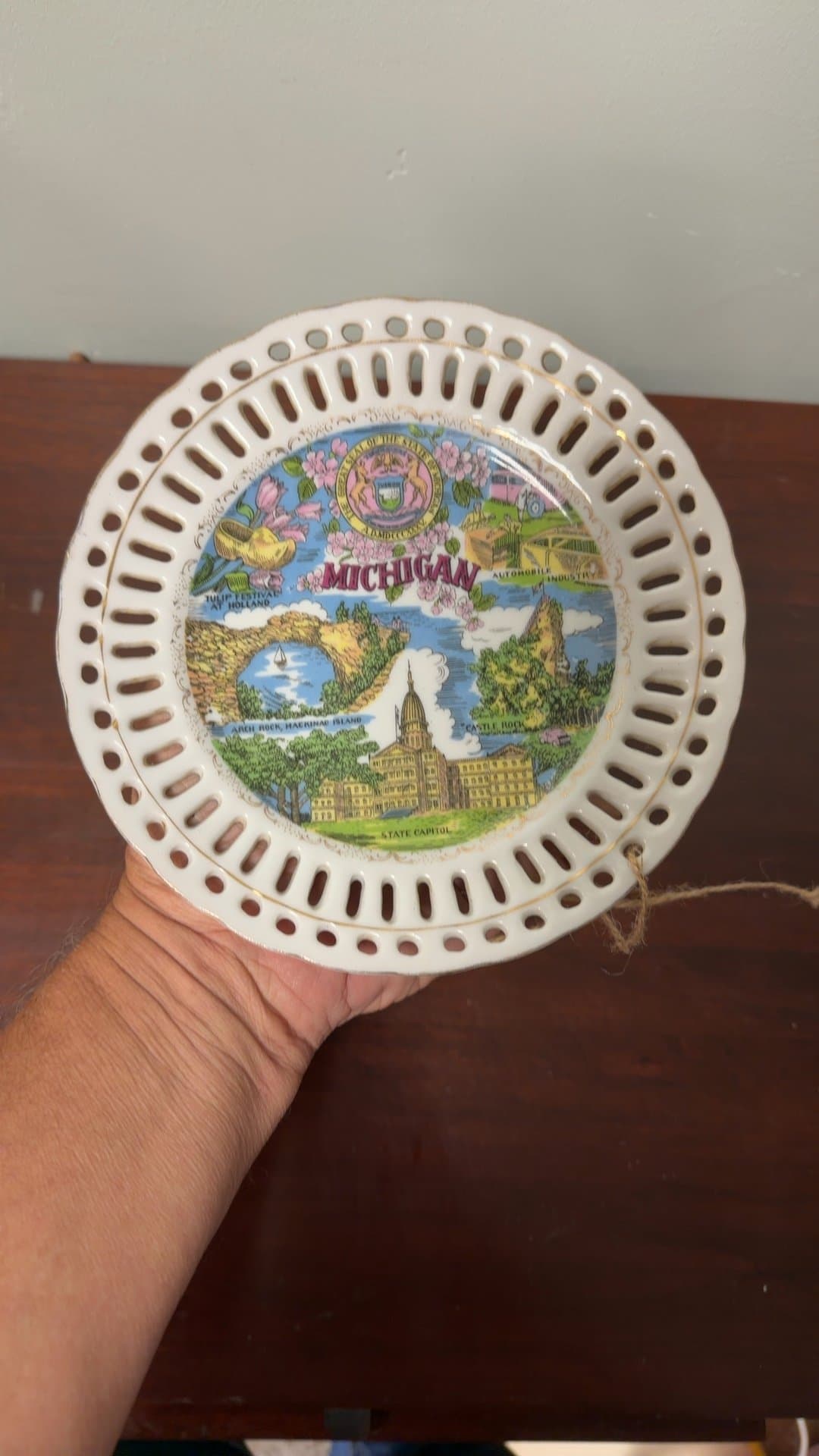 Vintage Michigan Souvenir Decorative Plate - Image 1