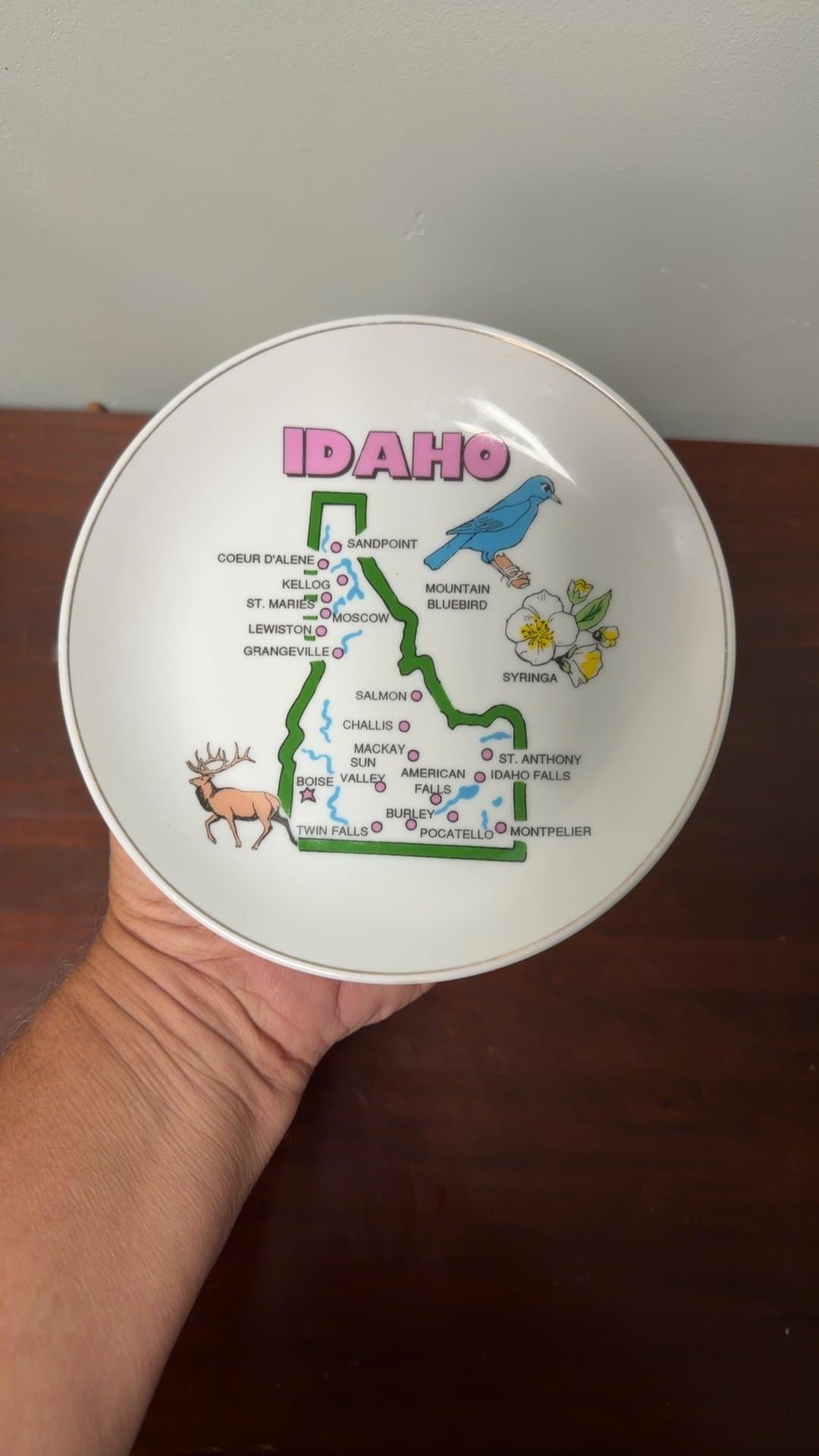 Idaho Souvenir Decorative Plate - Image 1