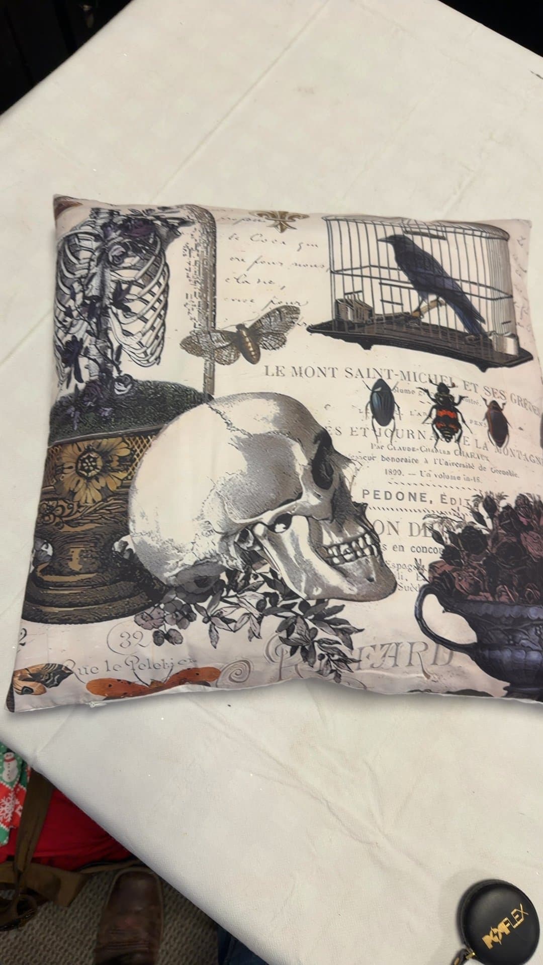 Vintage Gothic Skull and Birdcage Throw Pillow - Image 1