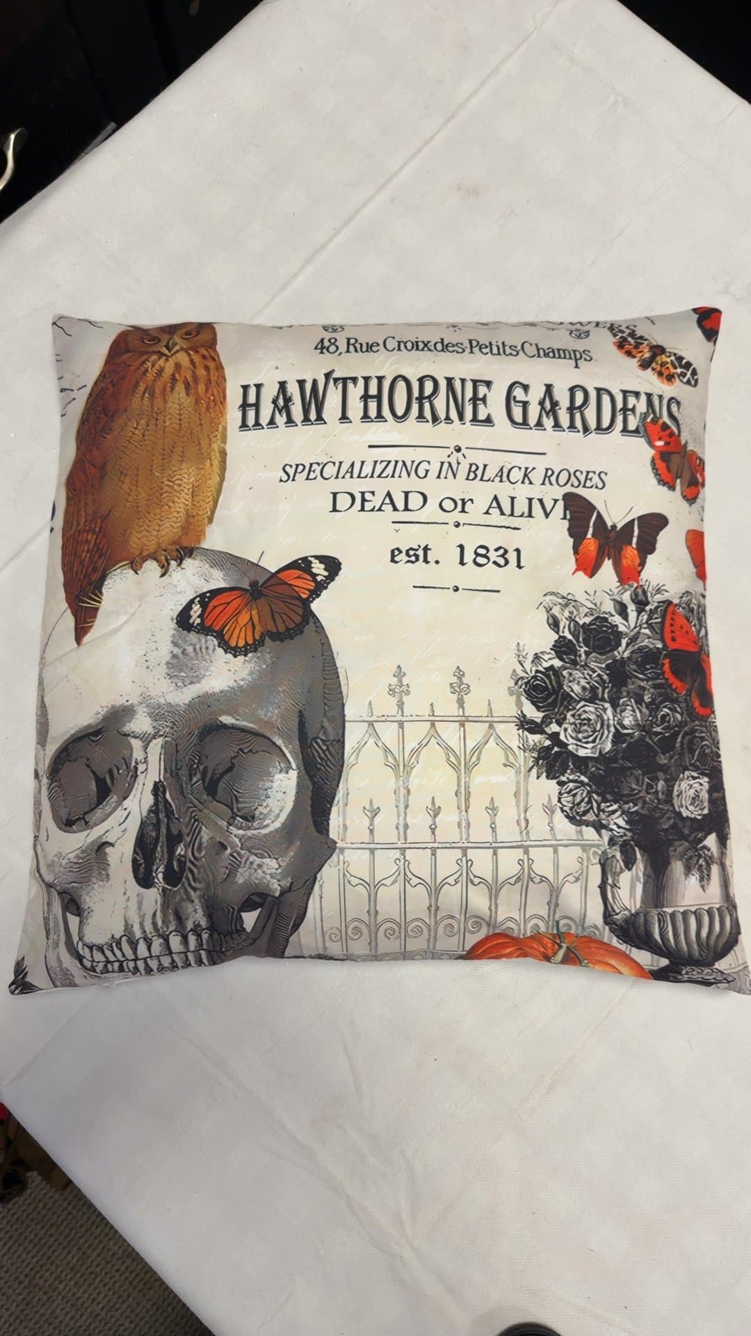 Hawthorne Gardens Halloween Skull and Owl Decorative Throw Pillow - Image 1