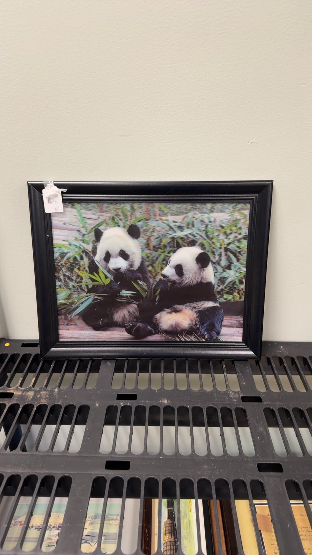 Framed Panda Photograph - Image 1