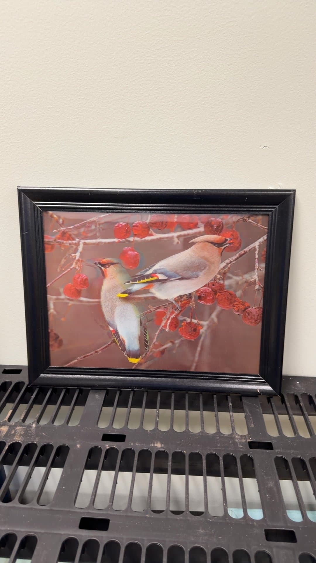 3D Bird Art in Black Frame - Image 1