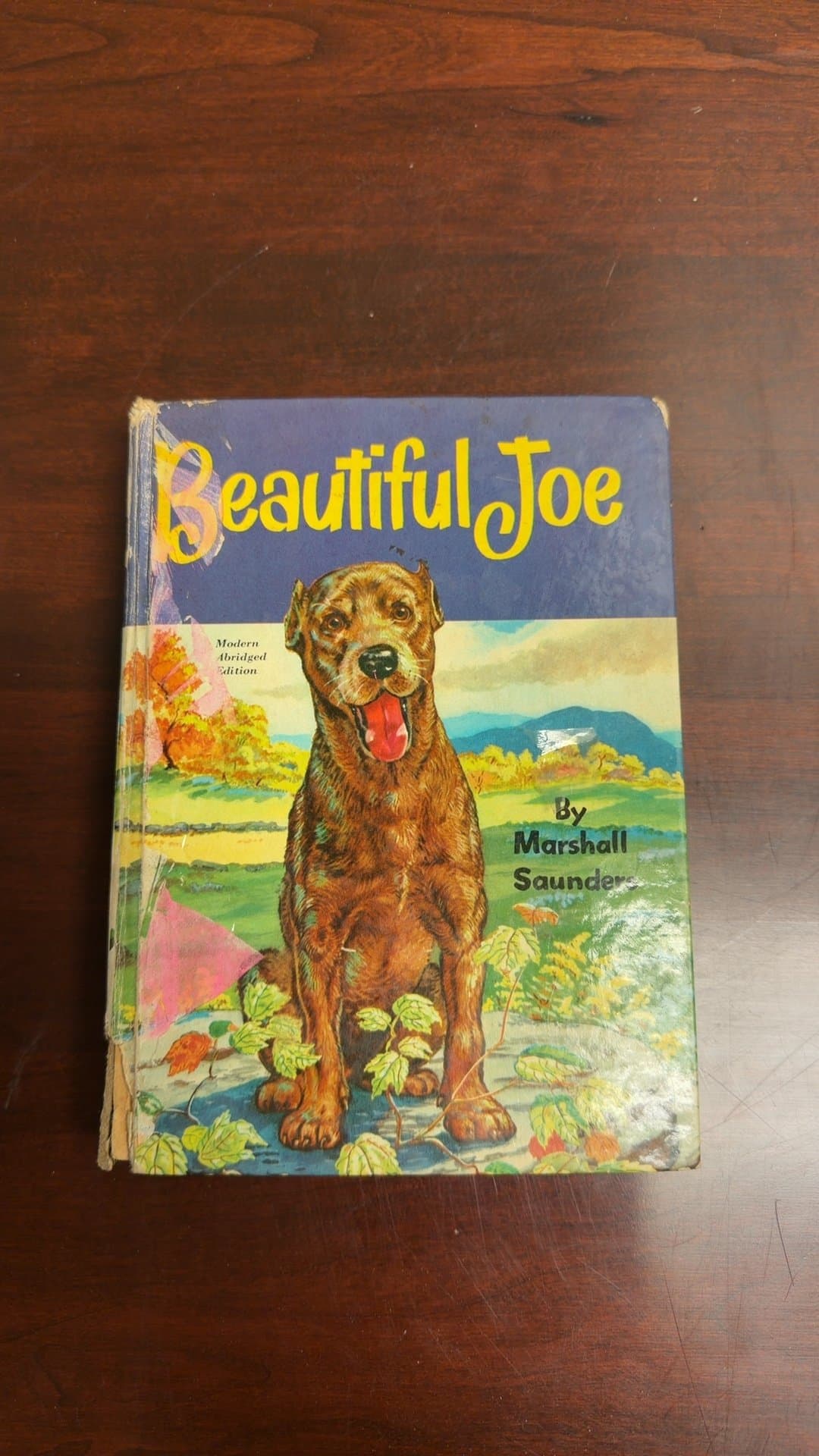 Beautiful Joe by Marshall Saunders - Image 1