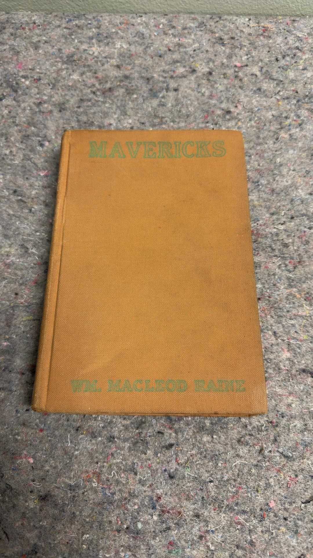 Mavericks by Wm. MacLeod Raine - Image 1