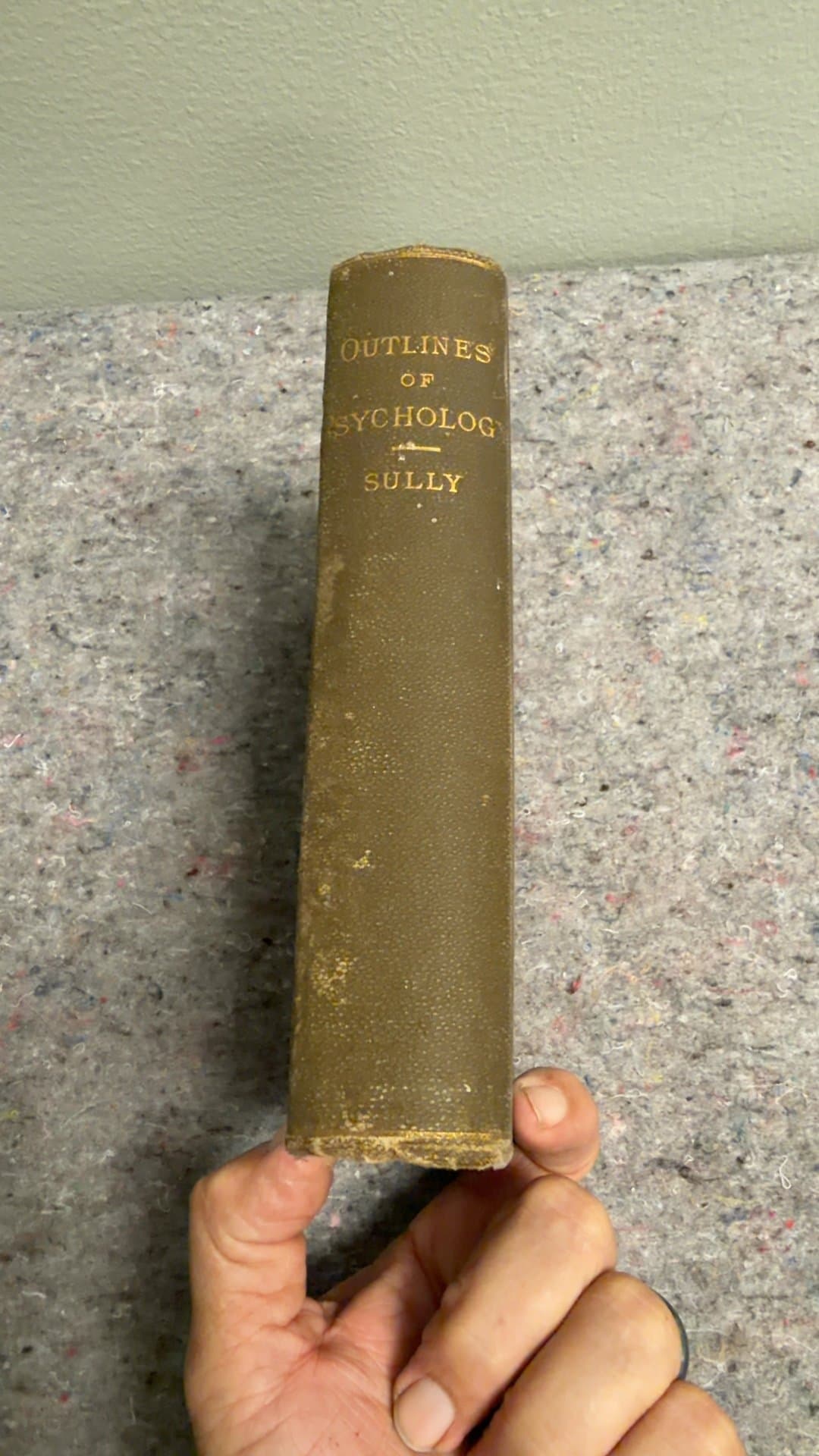 Outlines of Psychology by James Sully (1896 Edition) - Image 1
