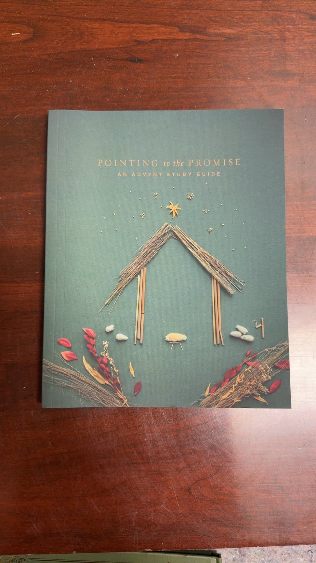 Pointing to the Promise: An Advent Study Guide - Image 1