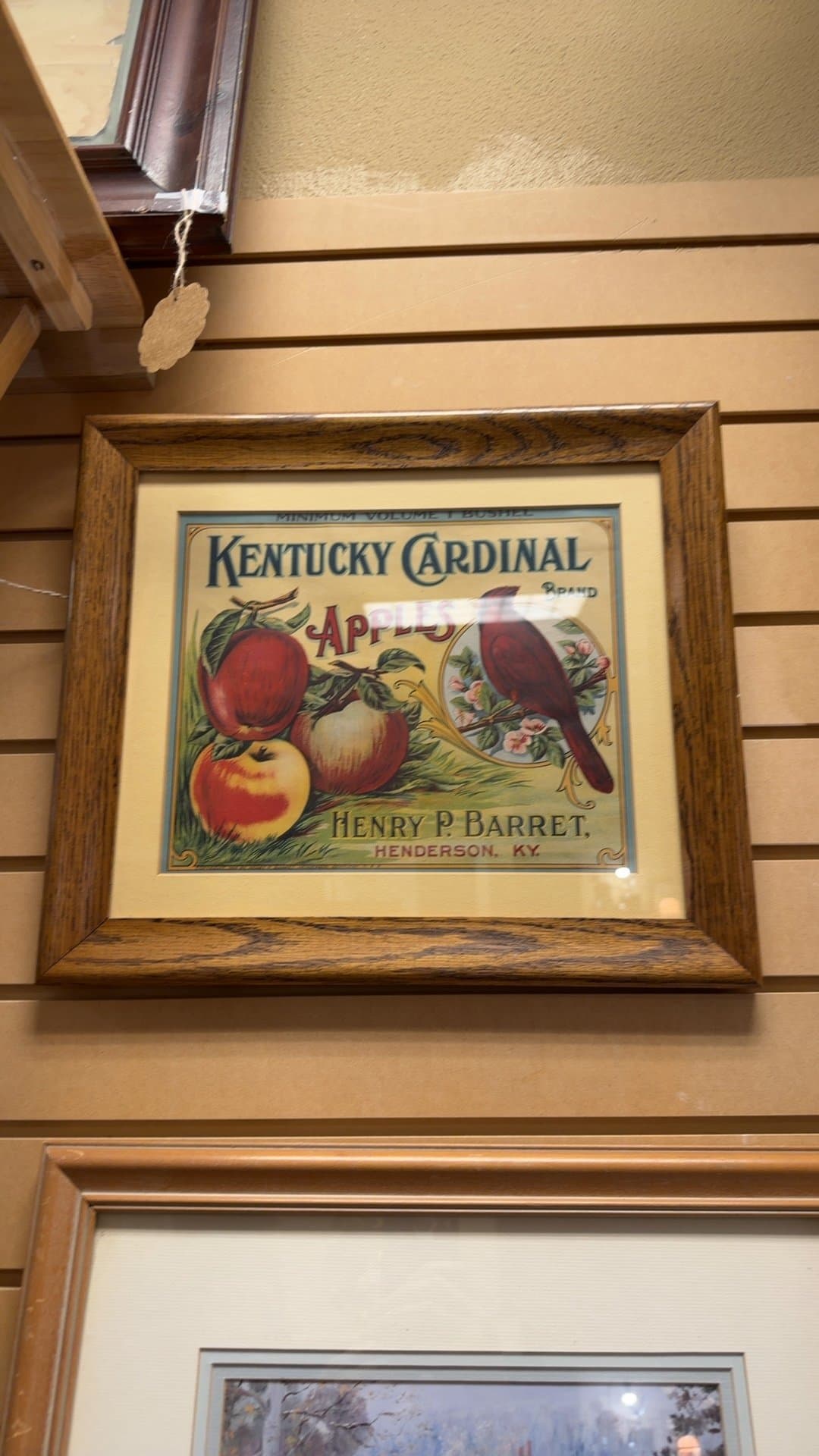 Vintage Kentucky Cardinal Brand Apples Advertisement - Image 1
