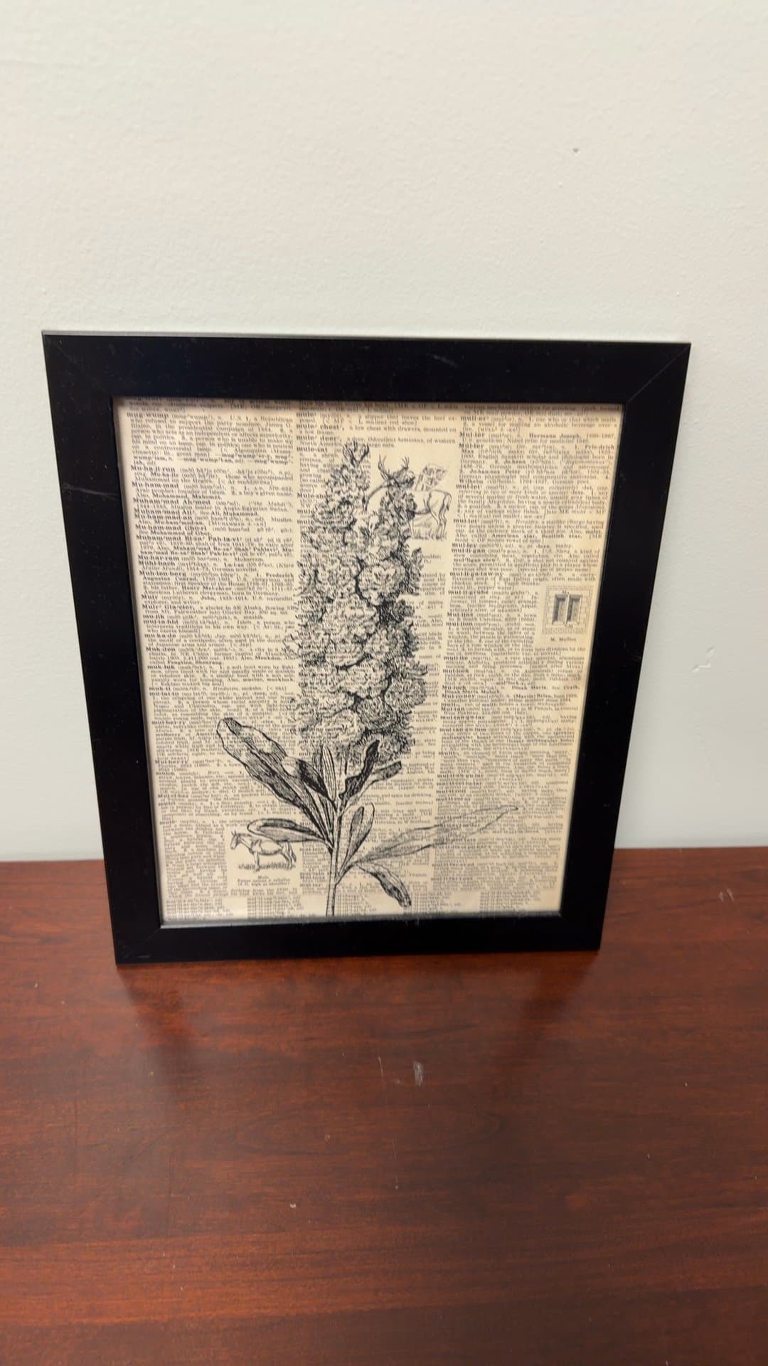 Framed Botanical Dictionary Page Art - Image 1