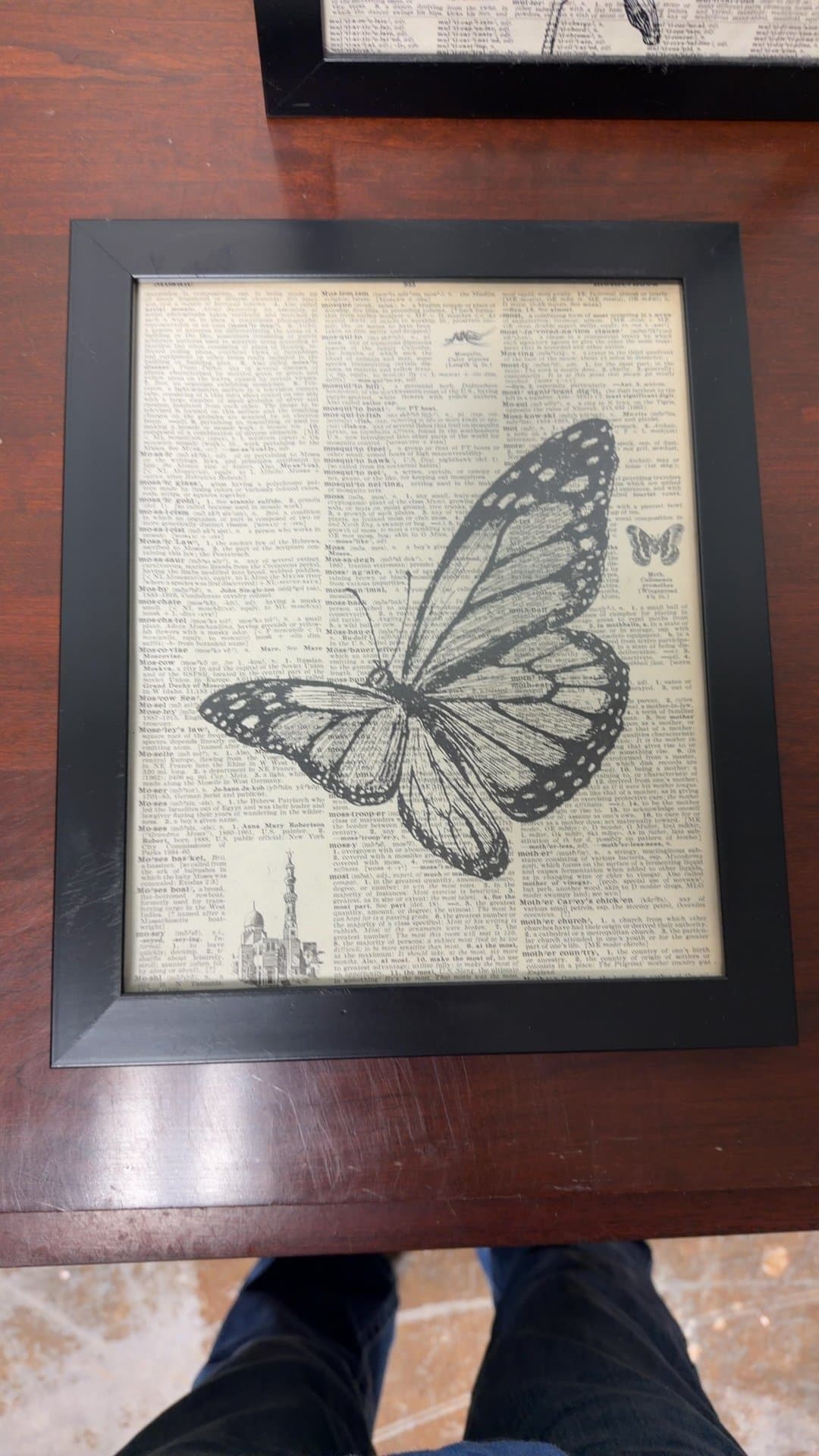 Framed Butterfly Illustration on Dictionary Page - Image 1