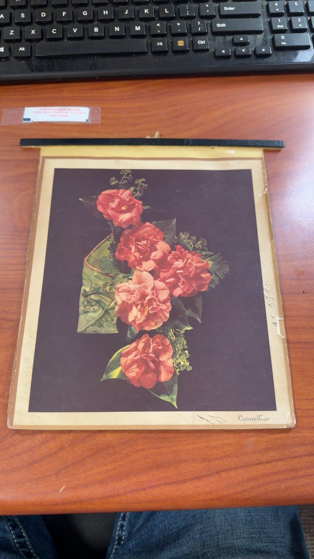 Vintage Floral Print - Camellias - Image 1