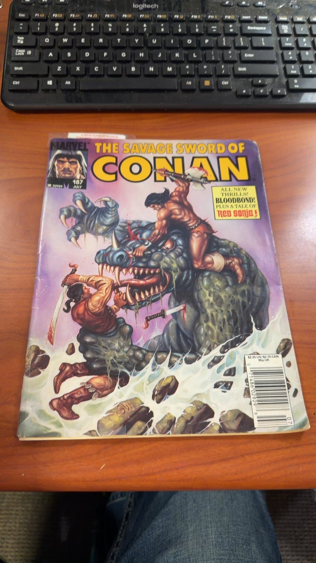 The Savage Sword of Conan #187 - Image 1