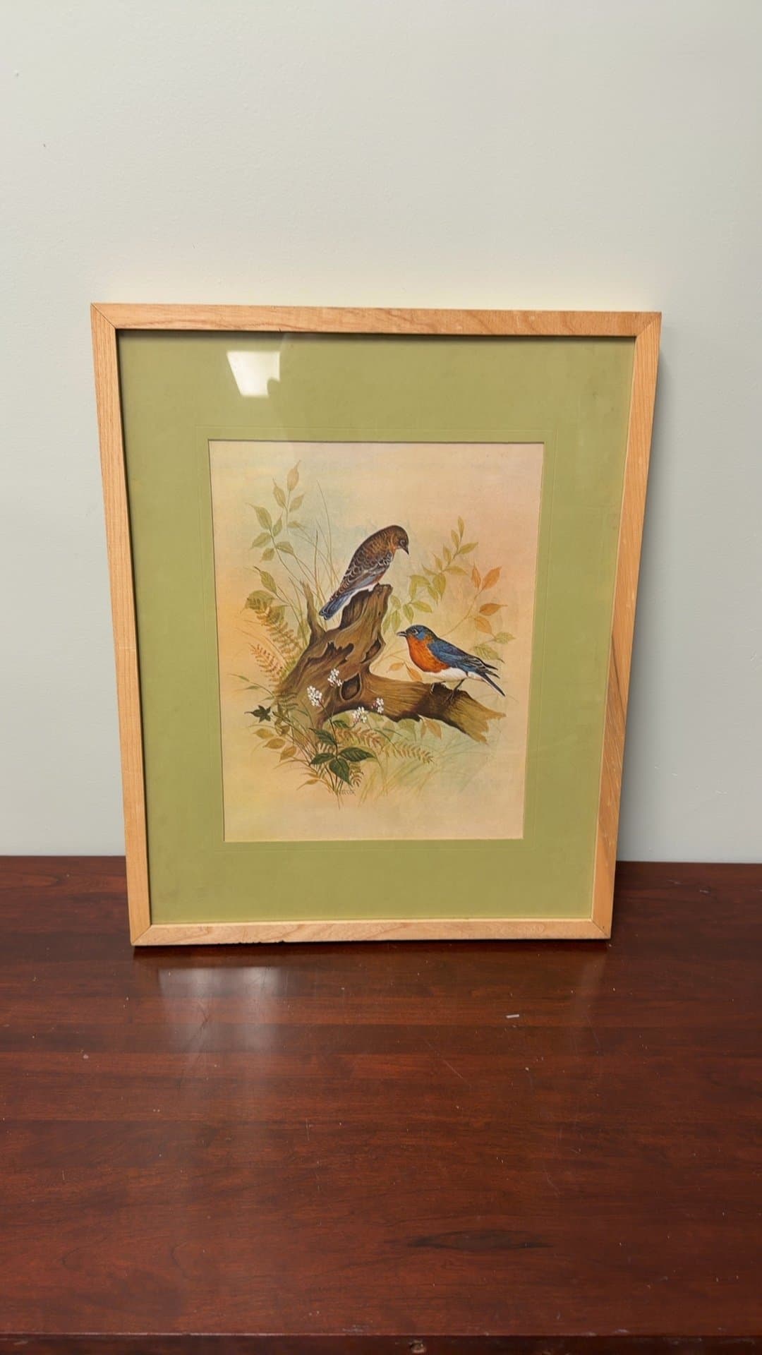 Framed Bird Art Print - Image 1