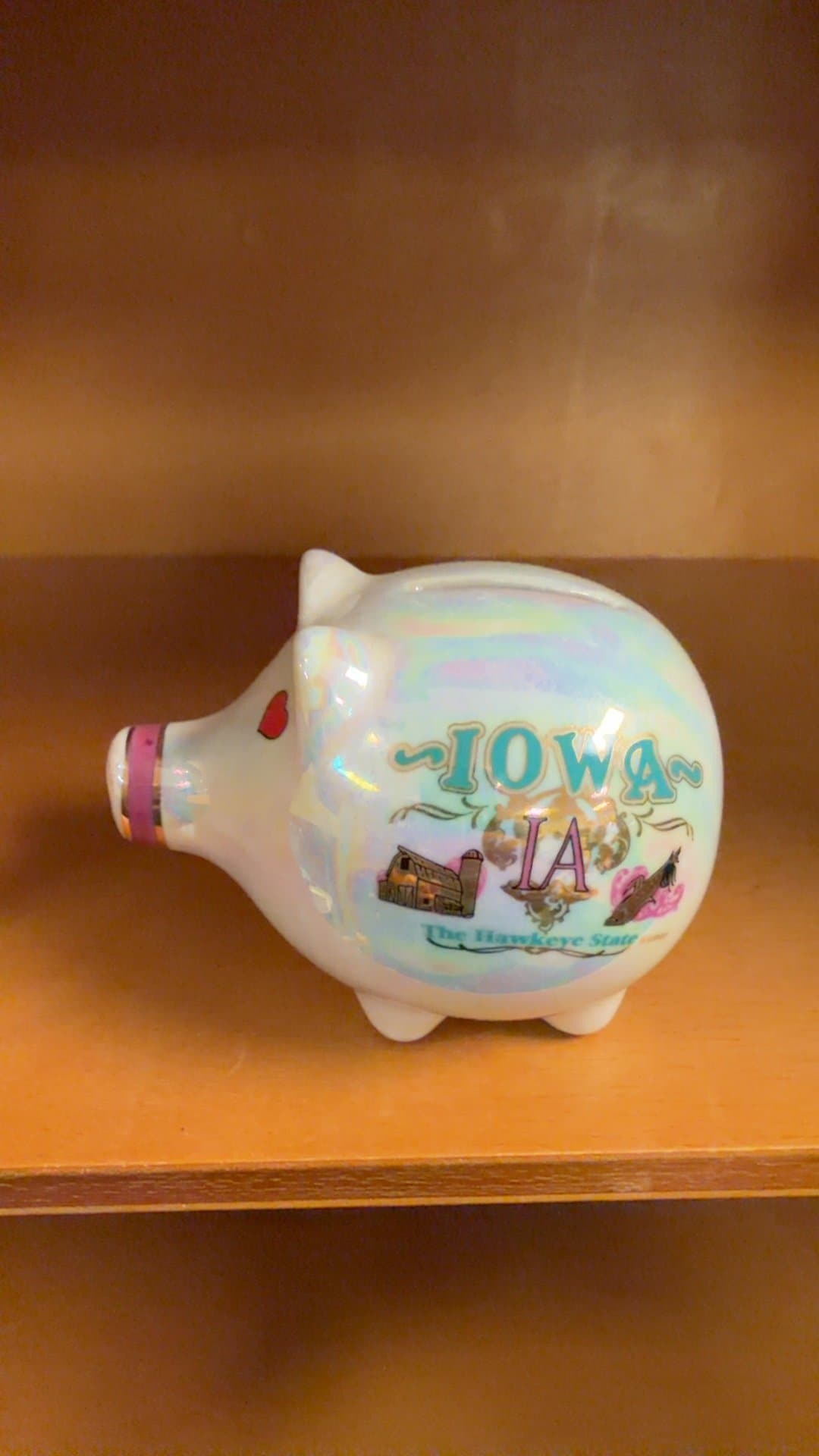 Iowa Souvenir Piggy Bank - Image 1