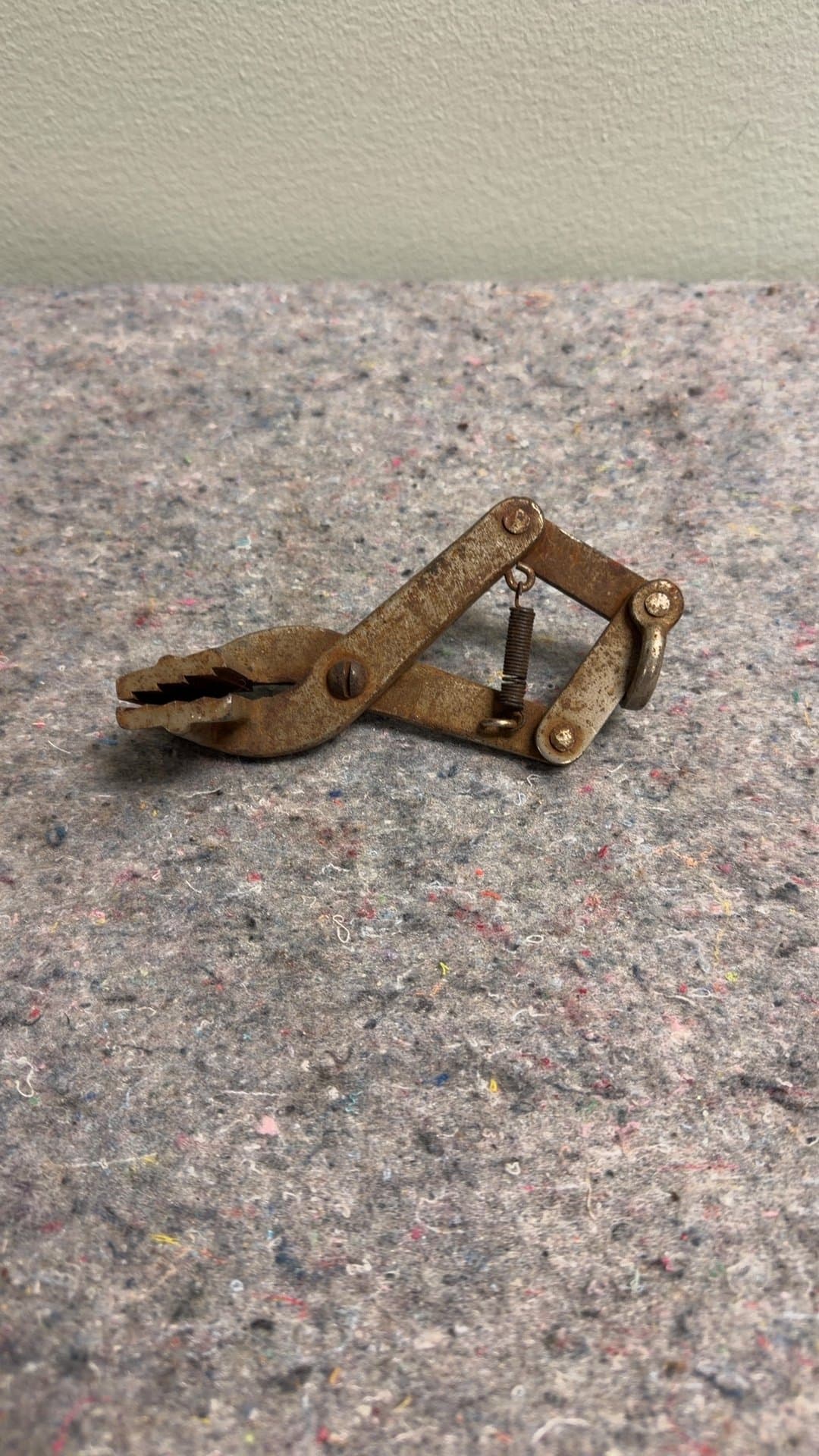 Vintage Metal Animal Trap - Image 1