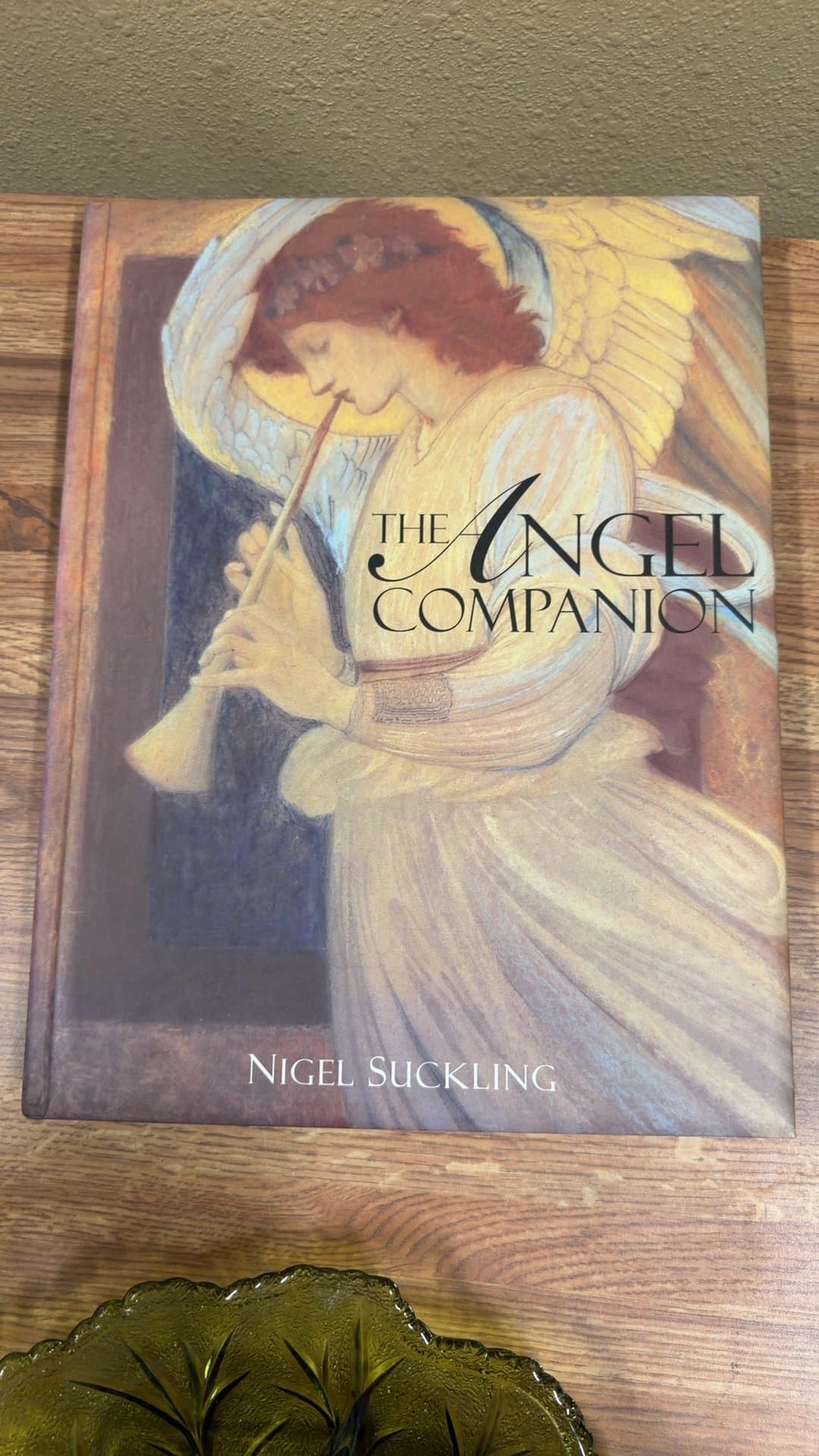 The Angel Companion by Nigel Suckling - Image 1