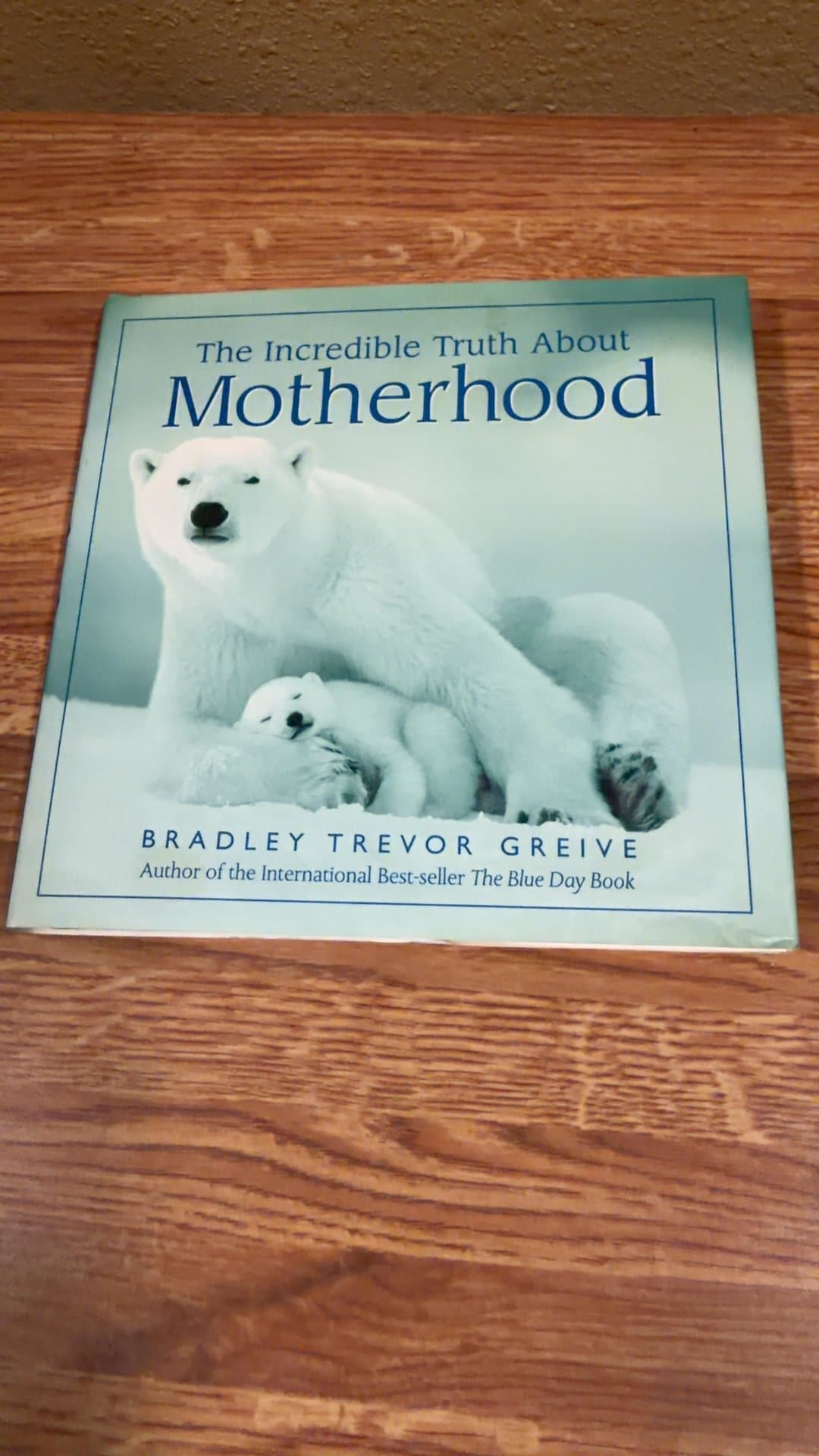 The Incredible Truth About Motherhood by Bradley Trevor Greive - Image 1