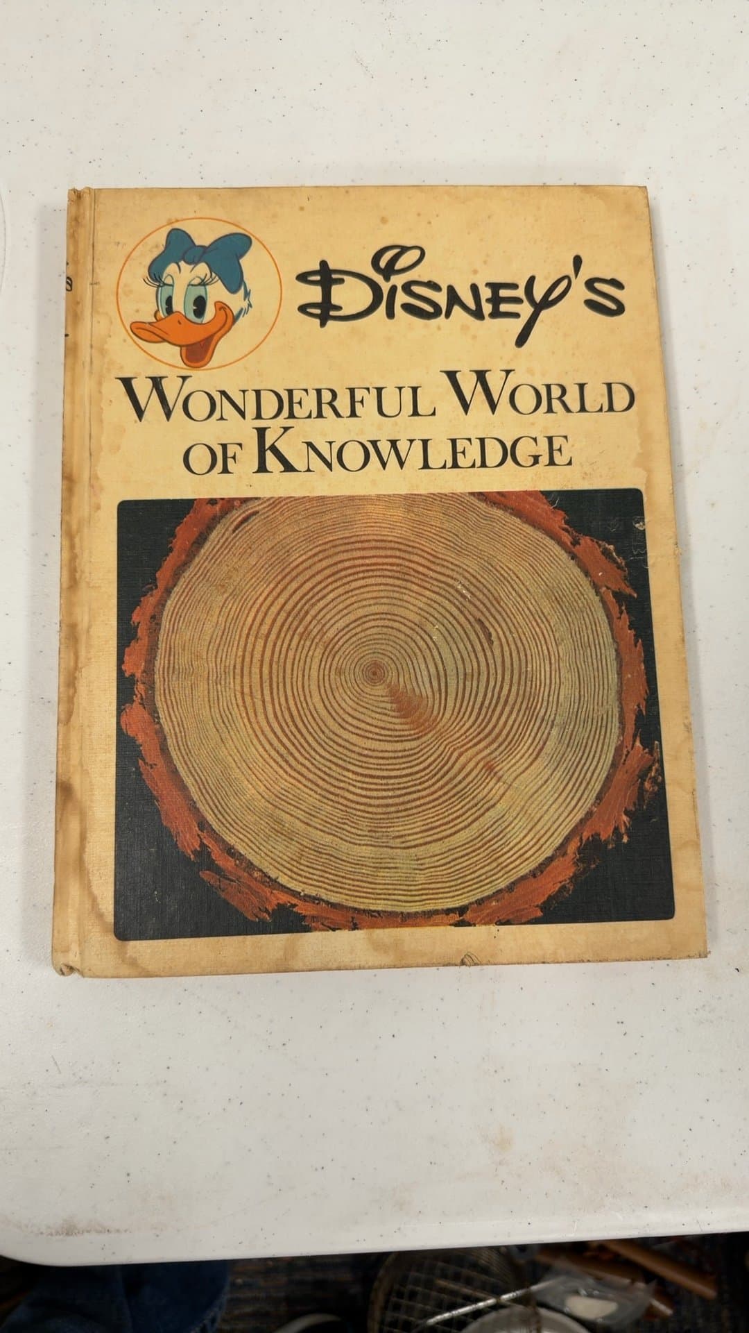 Disney's Wonderful World of Knowledge Book - Image 1