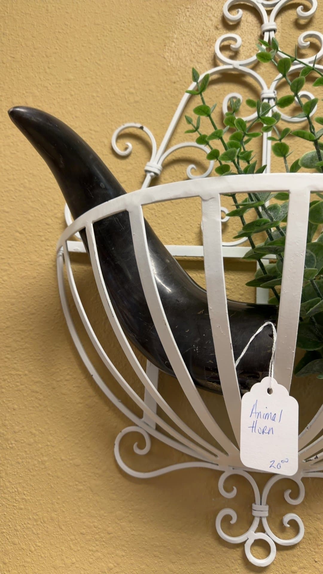 Decorative Animal Horn with Metal Holder - Image 1