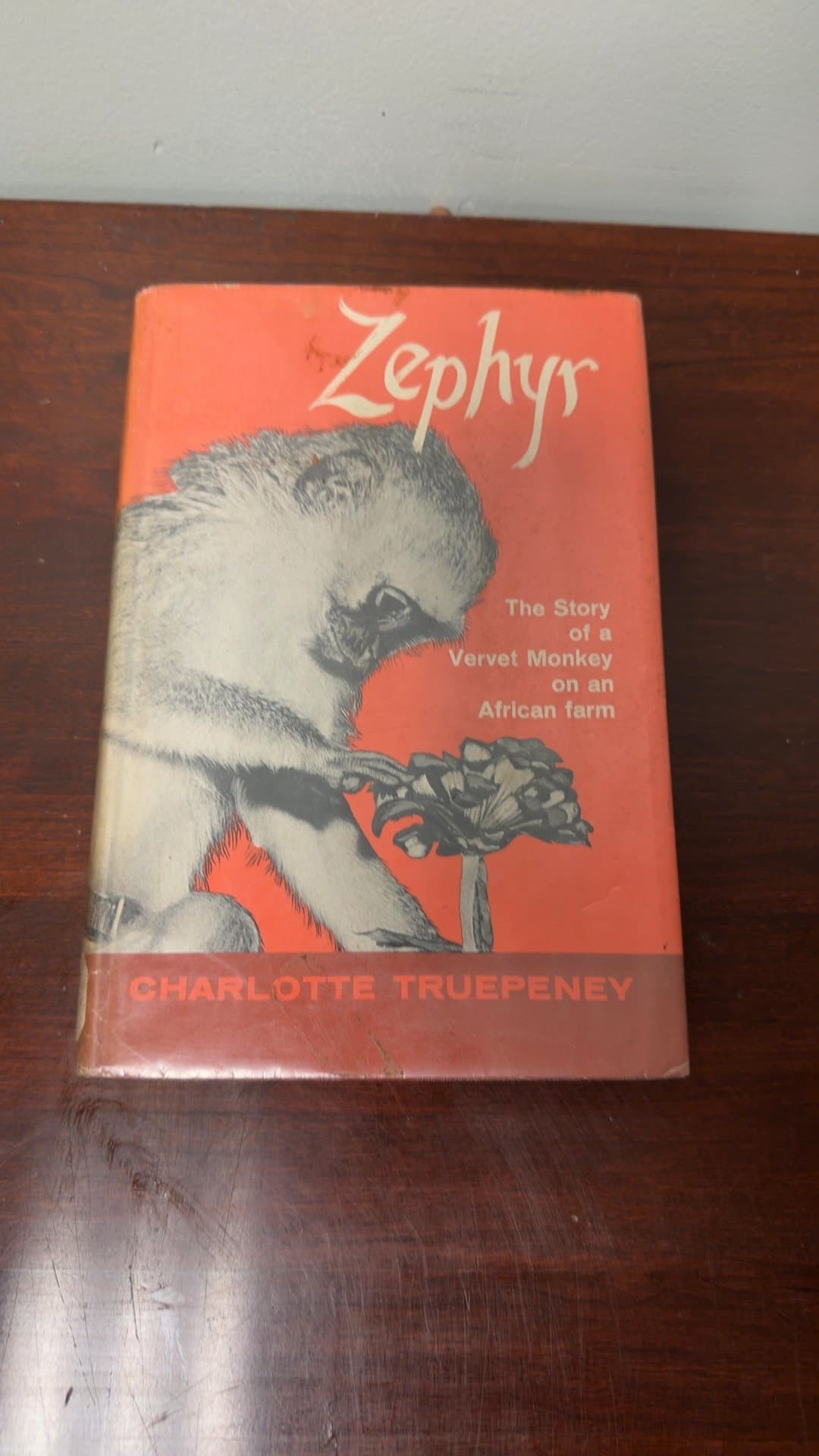 Zephyr: The Story of a Vervet Monkey on an African Farm by Charlotte Truepeney - Image 1