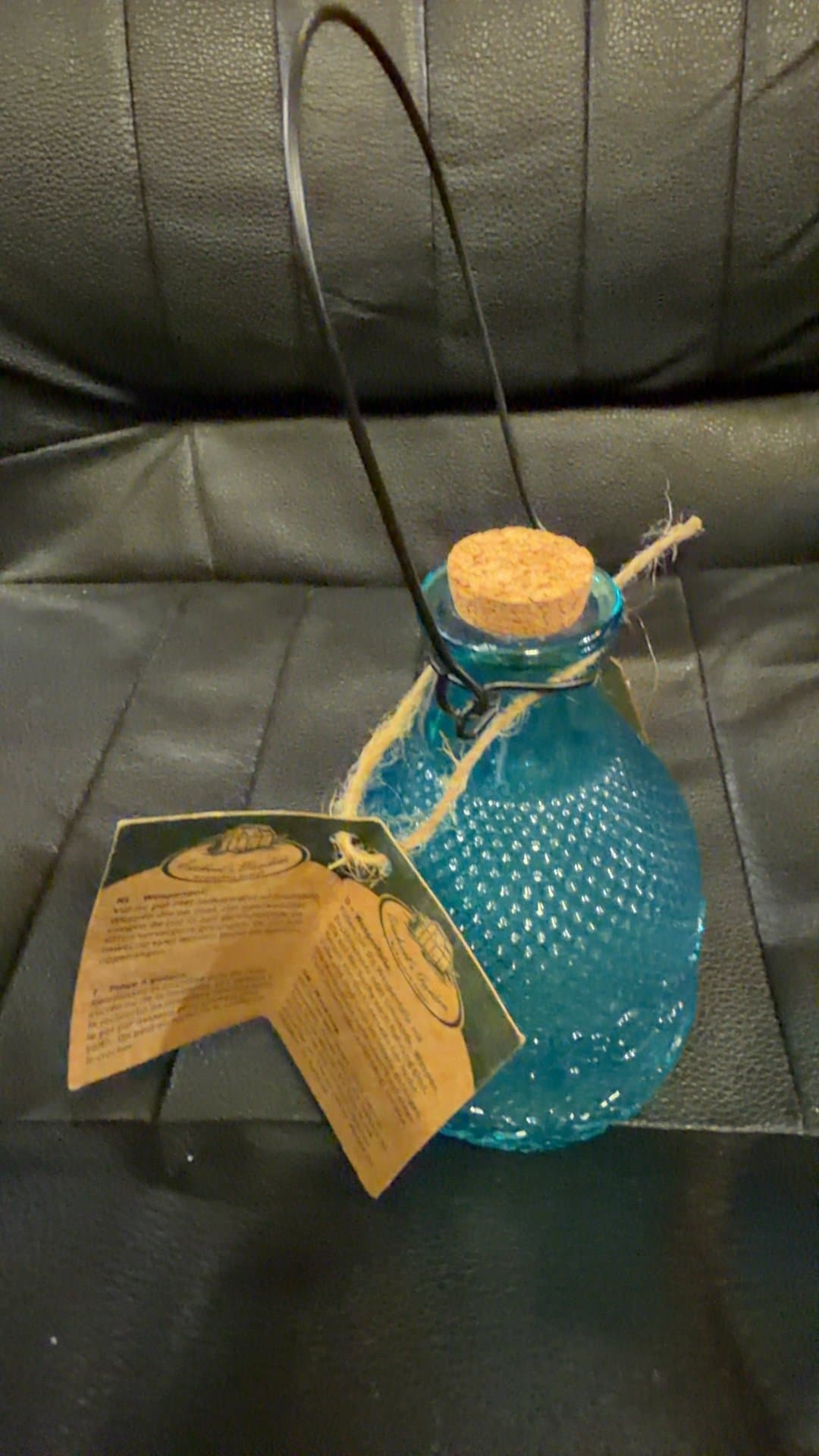 Esschert's Garden Blue Glass Wasp Trap - Image 1