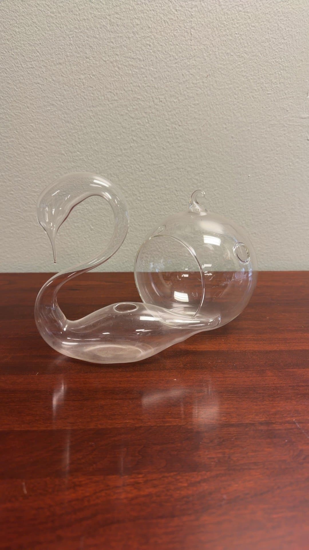 Glass Swan and Globe Terrarium - Image 1