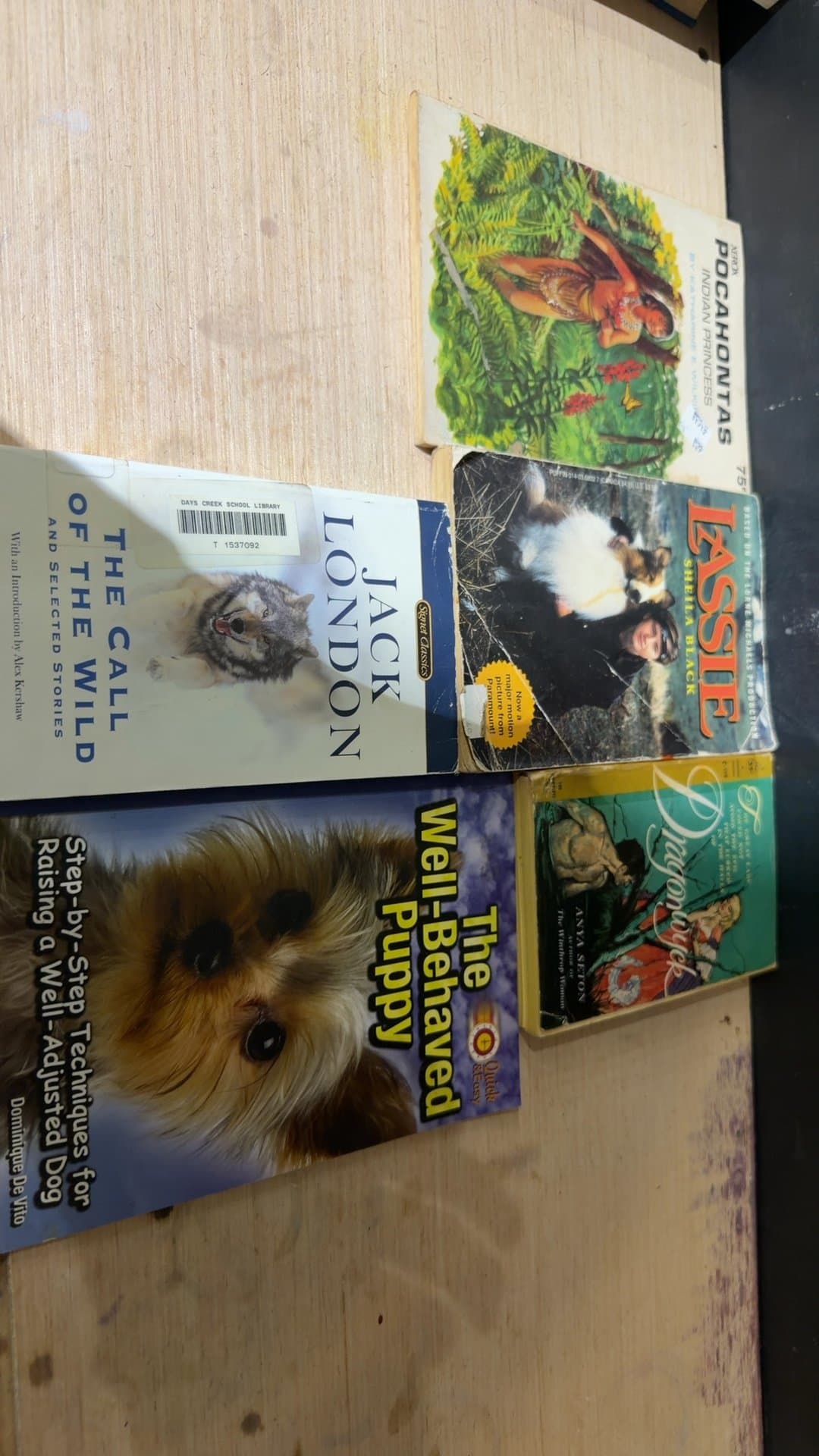 Vintage Paperback Books Lot of 5 - Including Jack London, Lassie, and Dragonwyck - Image 1