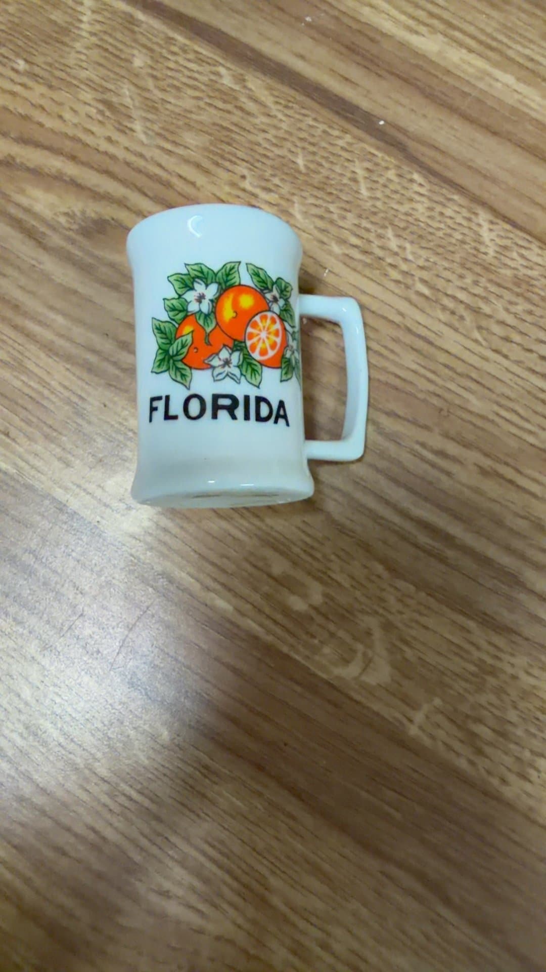 Florida Souvenir Mug - Image 1
