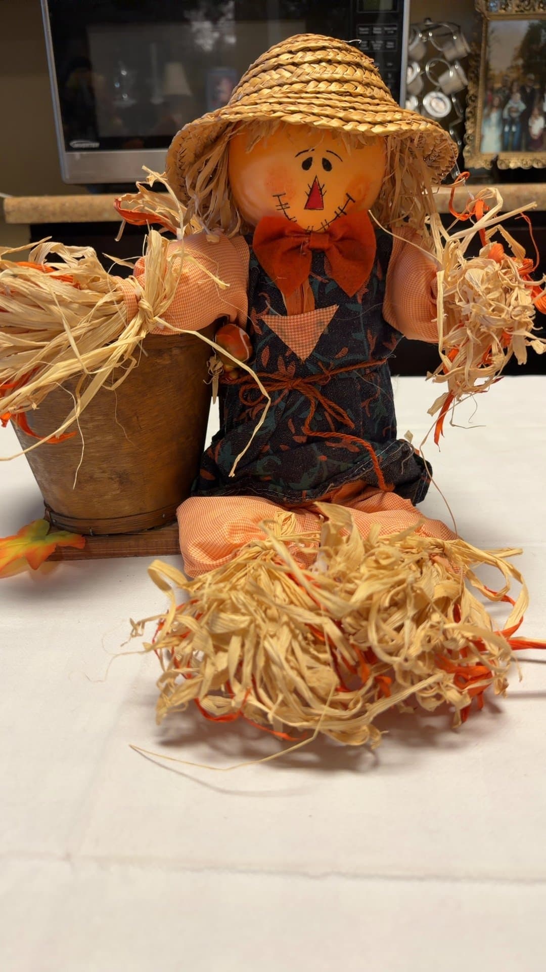 Decorative Scarecrow Plantar - Image 1