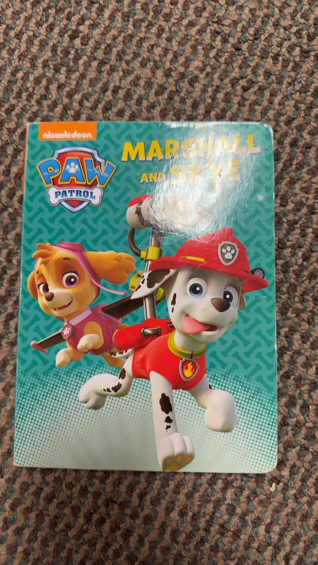Paw Patrol: Marshall and Skye Board Book - Image 1