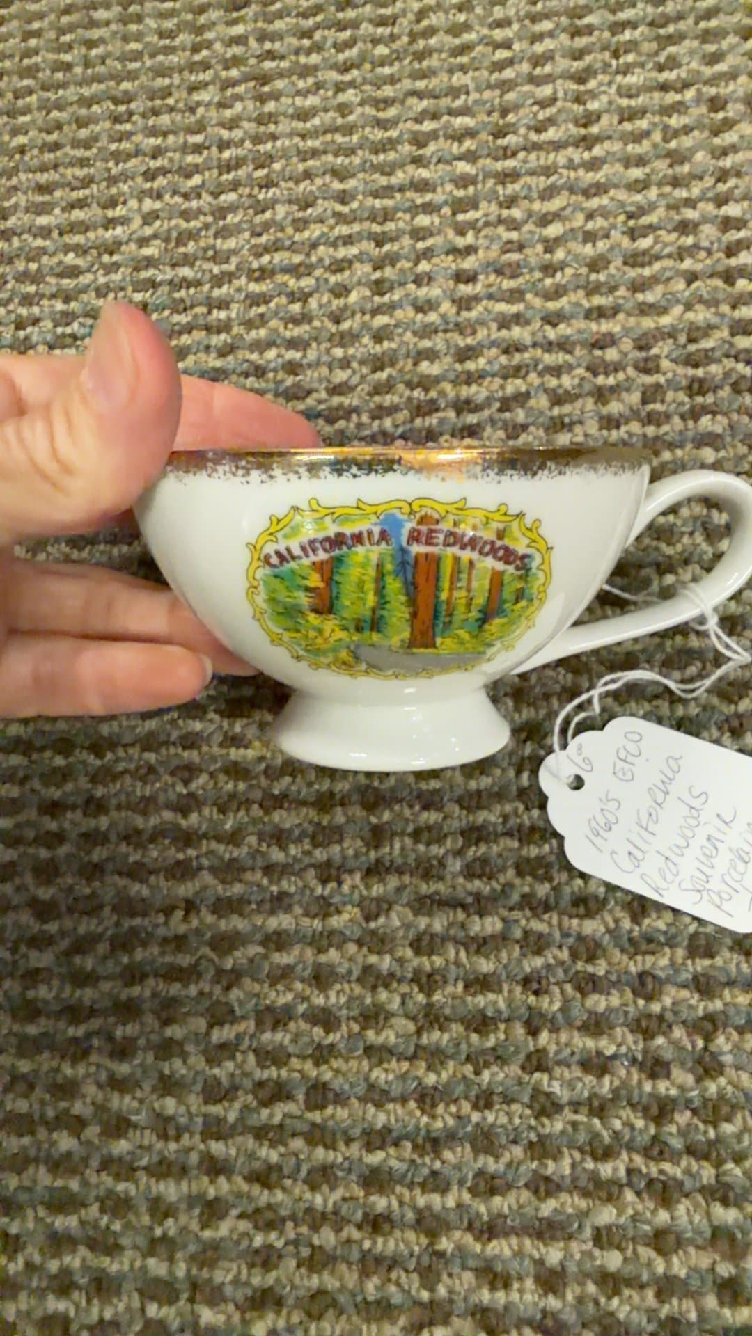 1960s EFCO California Redwoods Souvenir Porcelain Teacup - Image 1
