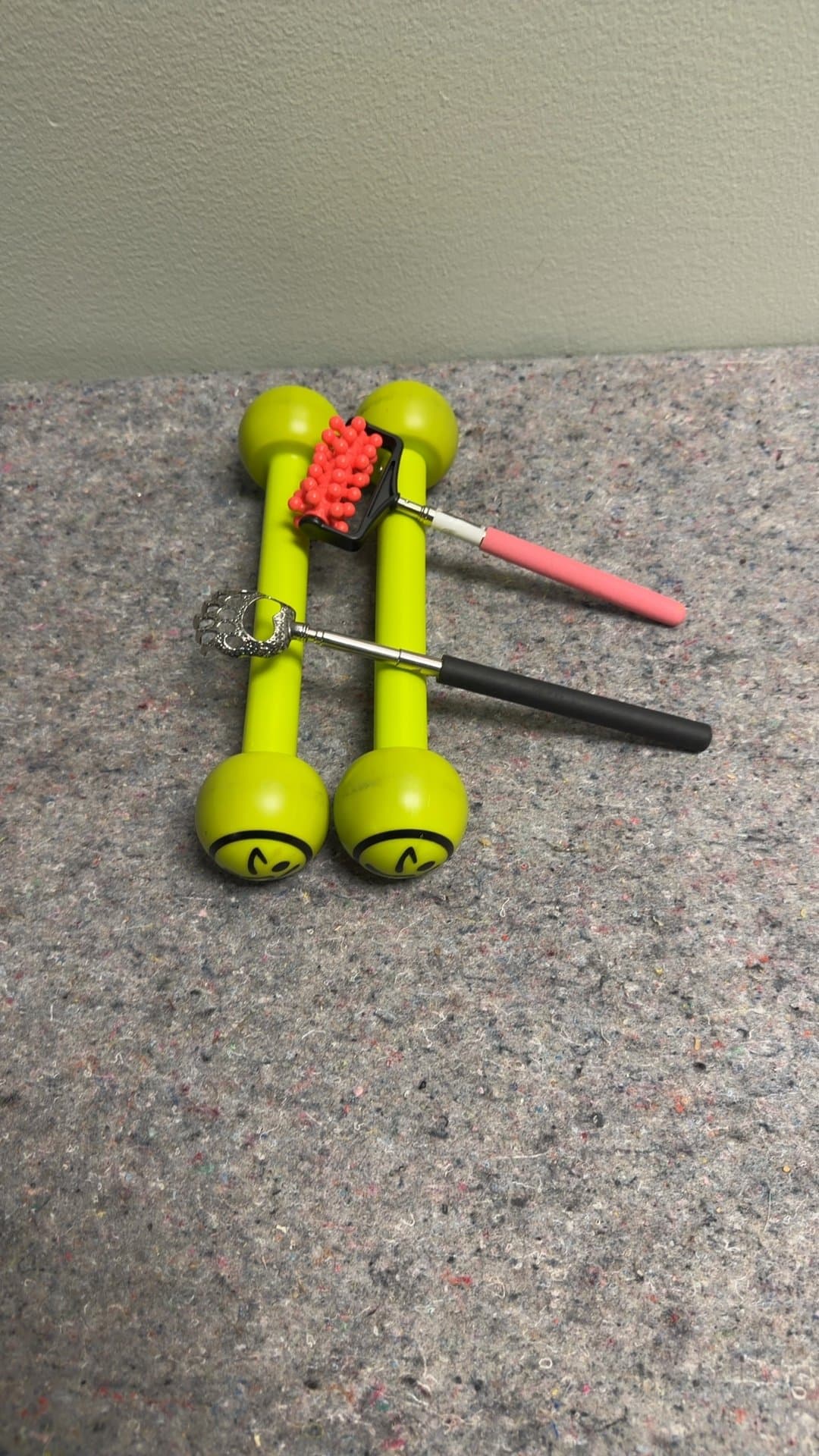 Set of Dumbbells with Back Scratchers - Image 1