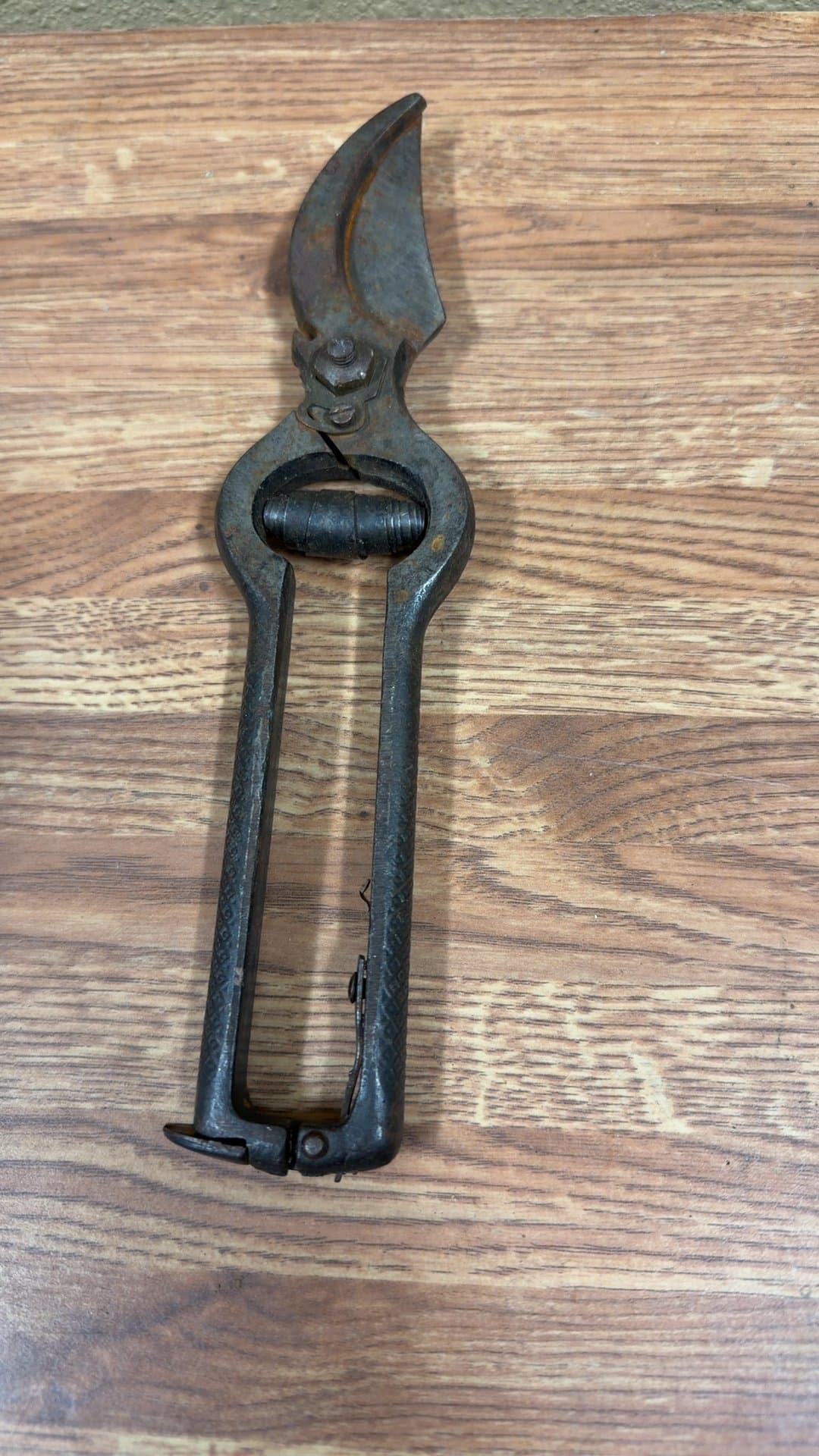 Vintage Metal Snips - Image 1