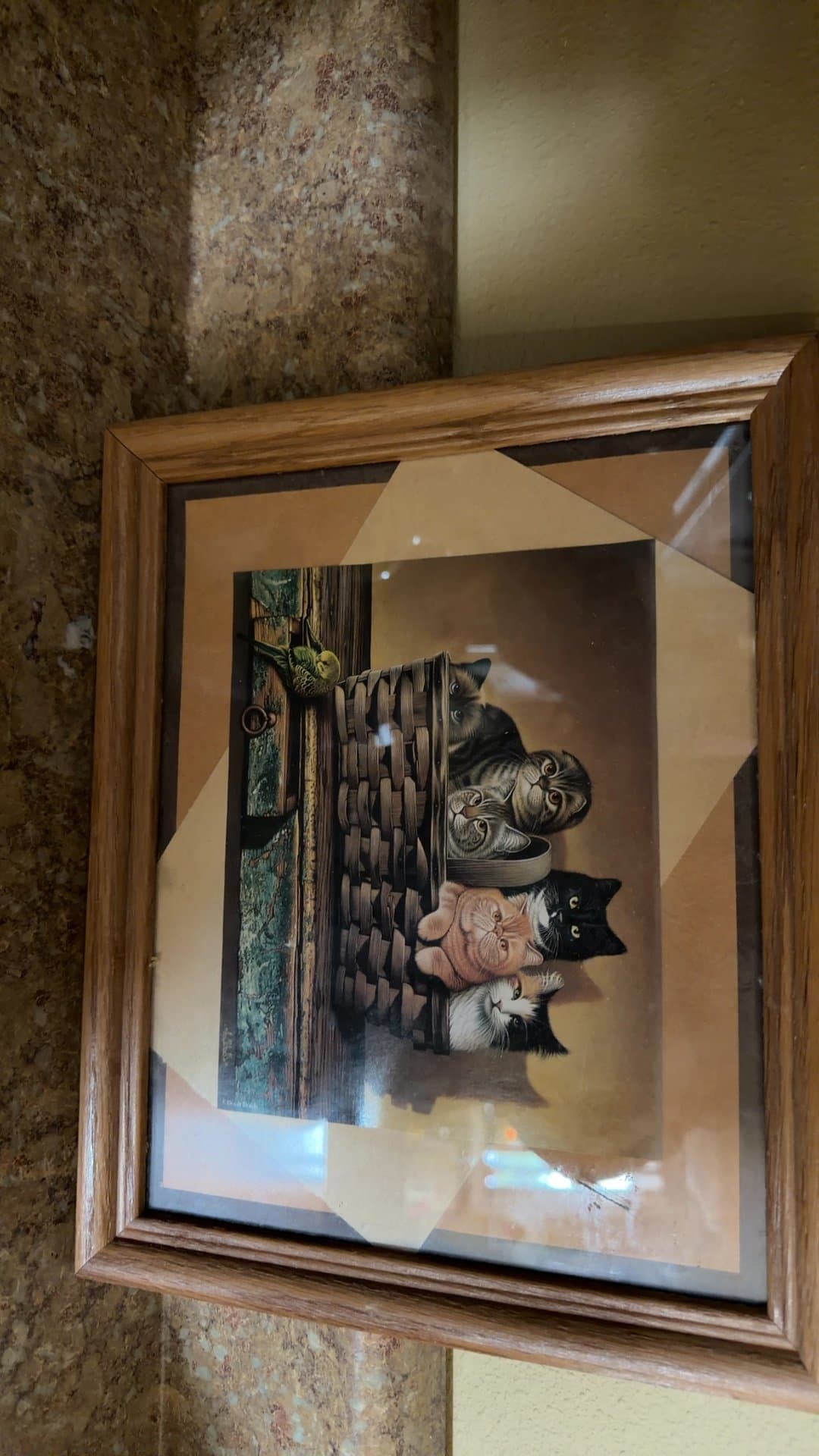 Framed Cat and Bird Print "Bushel and a Peck" - Image 1