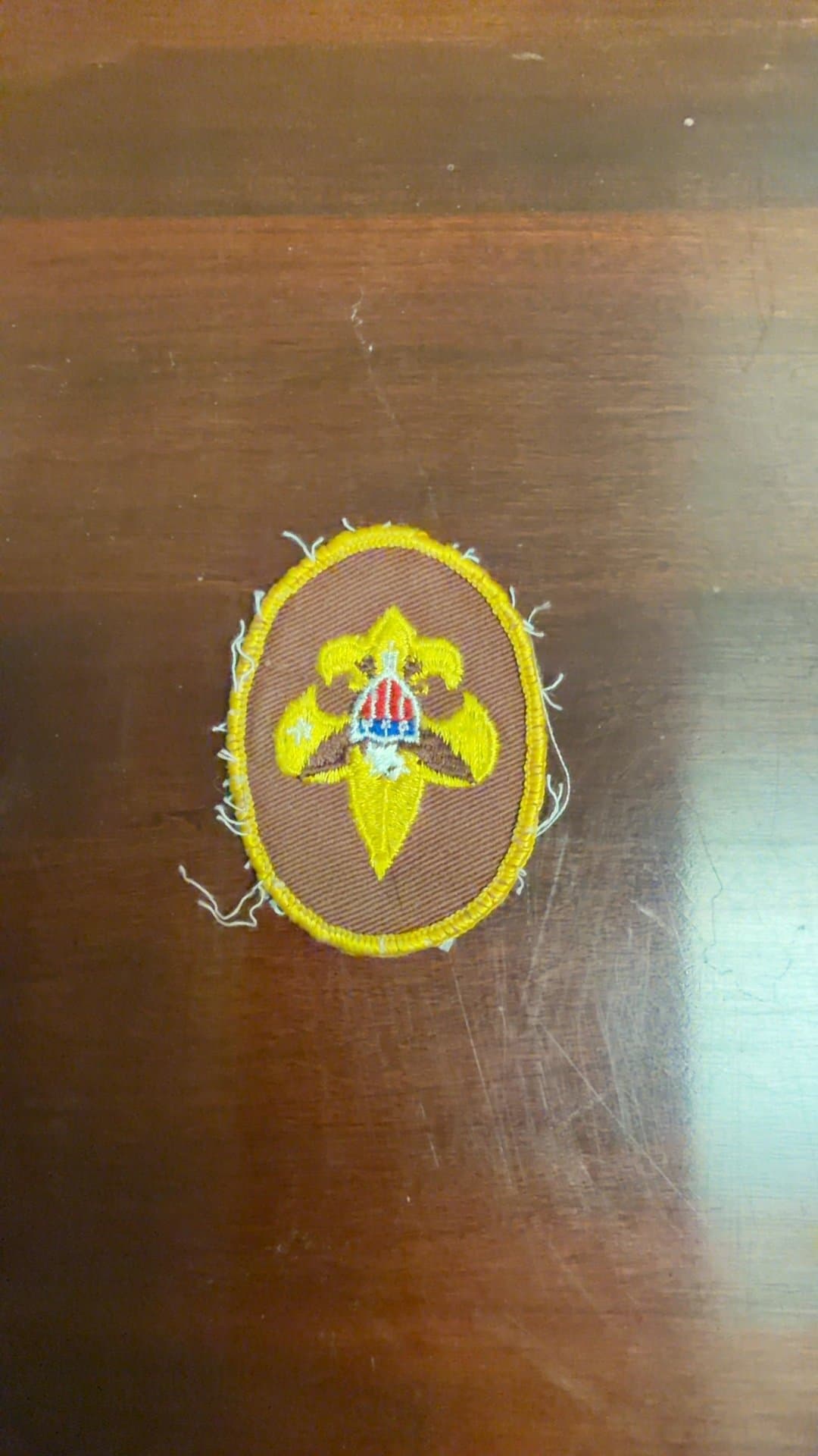 Vintage Boy Scouts Merit Badge - Image 1