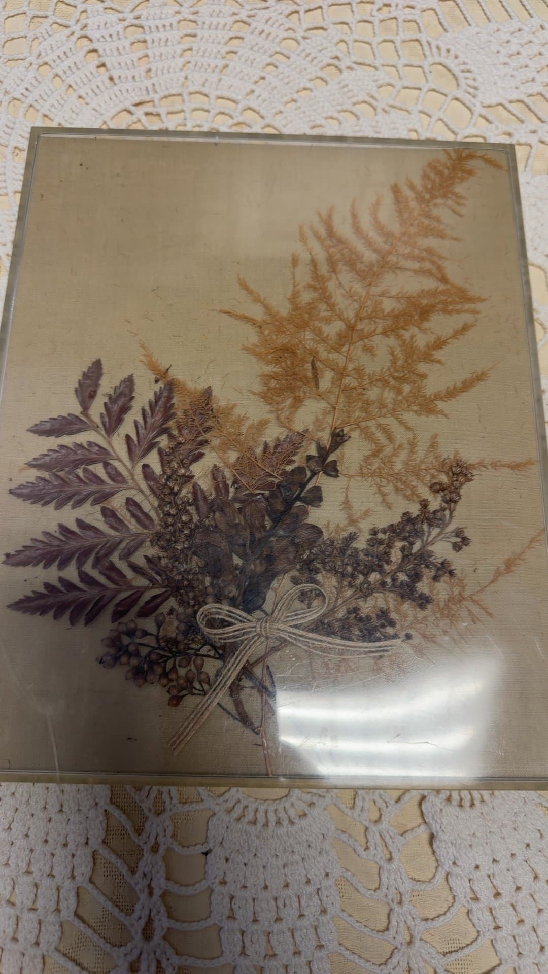 Vintage Pressed Dried Flower and Fern Arrangement Framed Acrylic Plaque - Image 1