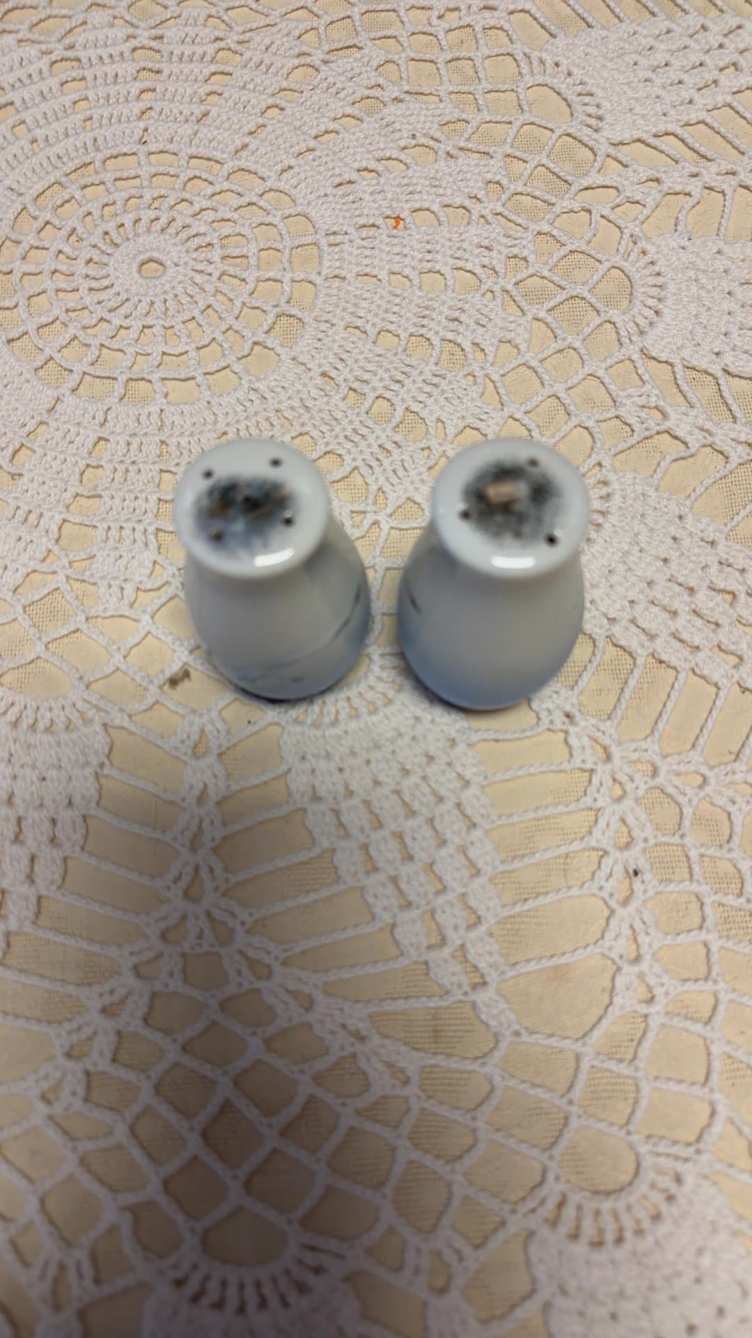 Vintage Smith Western Seagull Porcelain Salt and Pepper Shakers - Image 1