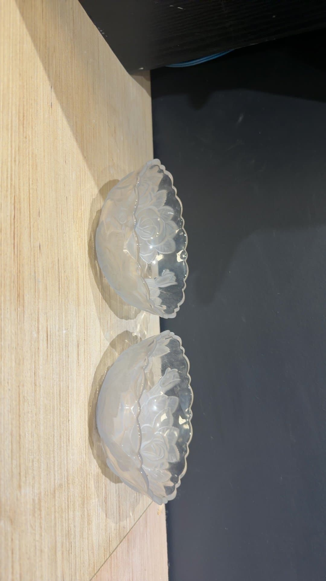 Frosted Glass Rose Embossed Small Bowls - Set of 2 - Image 1