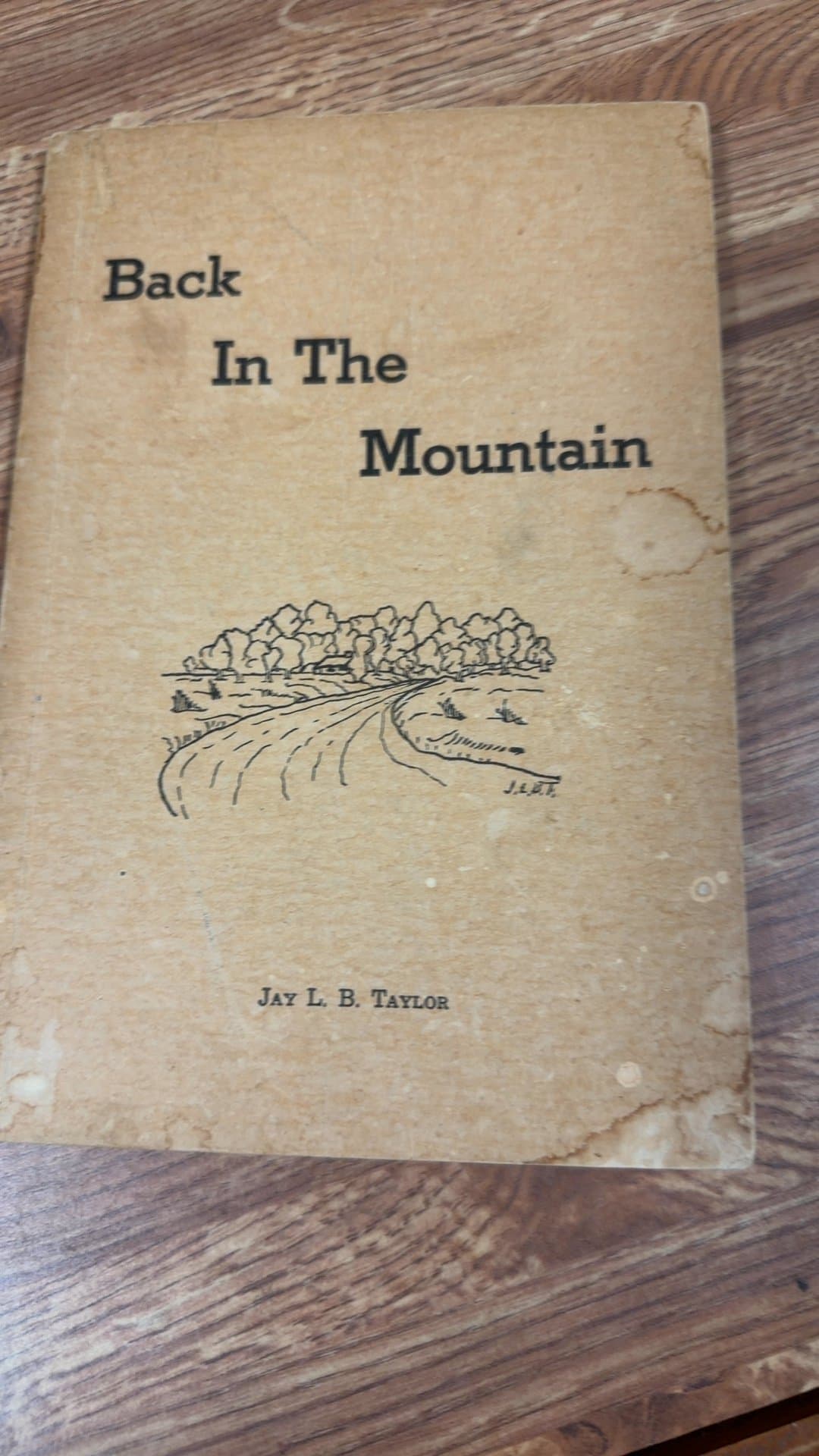 Back In The Mountain by Jay L. B. Taylor - Image 1
