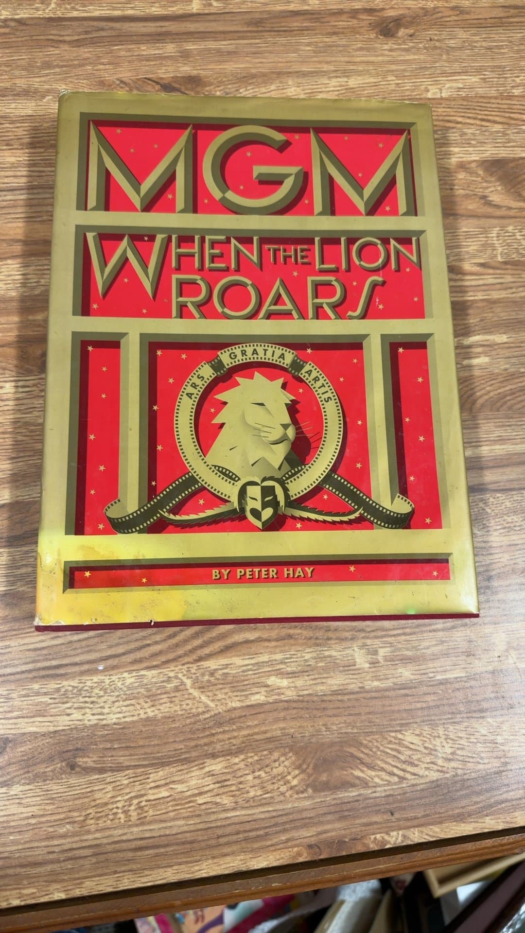 MGM: When the Lion Roars by Peter Hay - Image 1